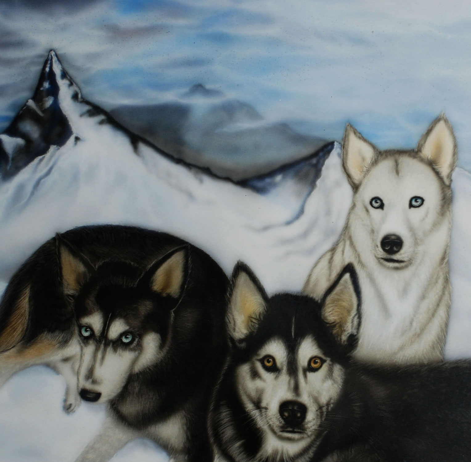 Entwurmungsplan vom Welpen zum erwachsenen Hund huskyfeelings jimdo page!