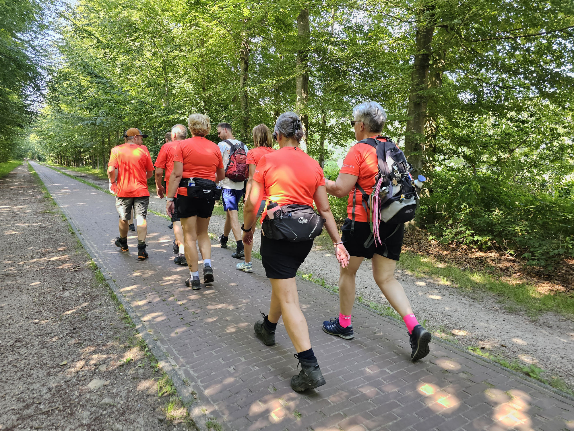 Trainingschema lange afstanden wandelen