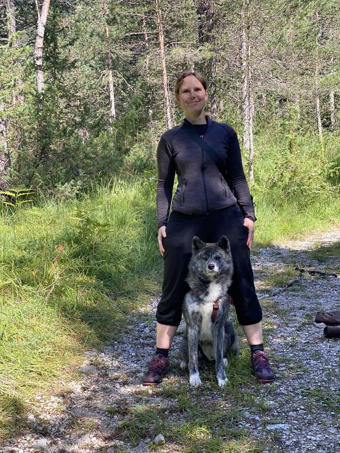 Warum dein Hund nicht gehorcht – und warum Sicherheit wichtiger ist als Druck
