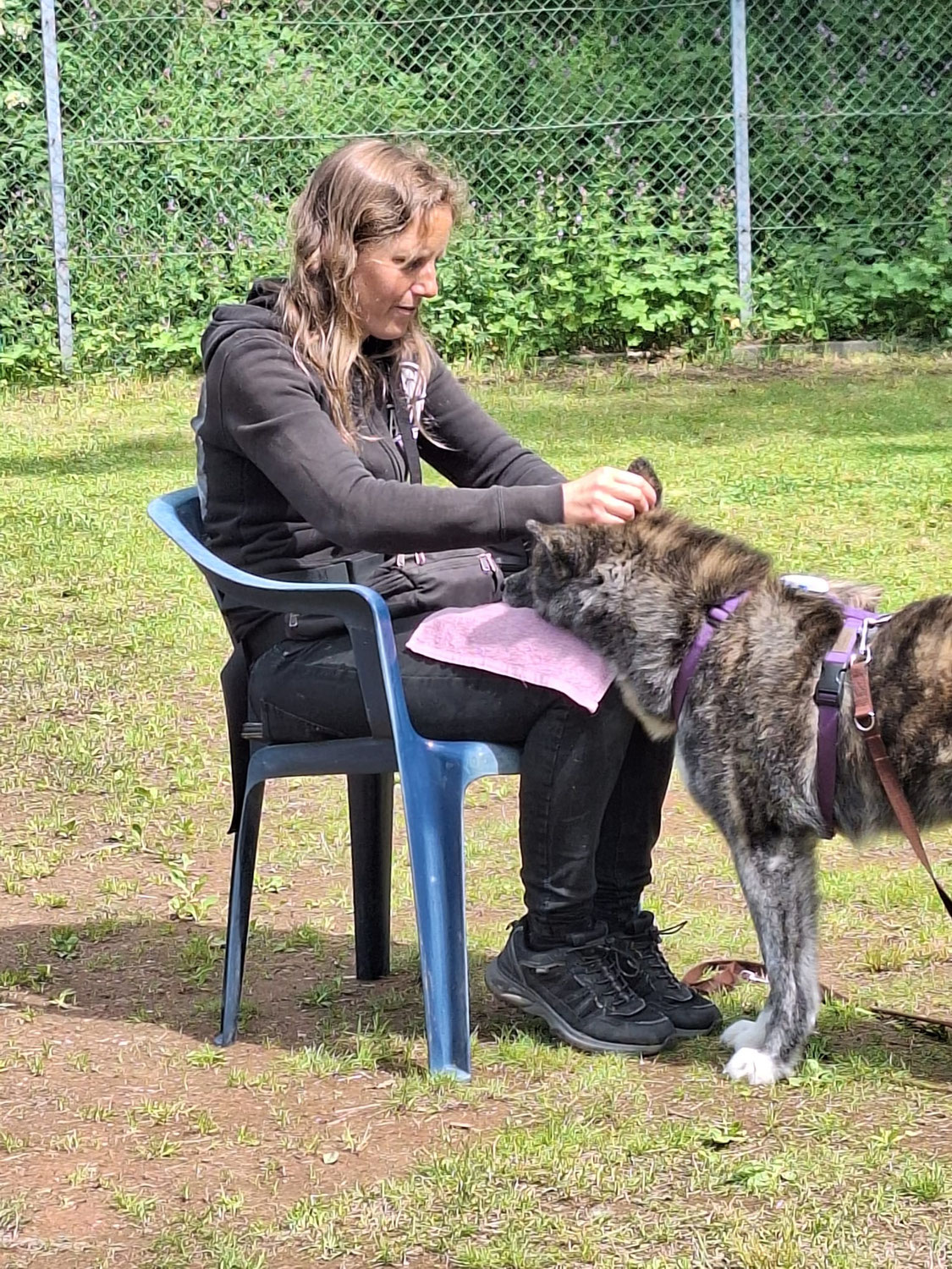 Zecken beim Hund richtig entfernen – worauf du achten solltest