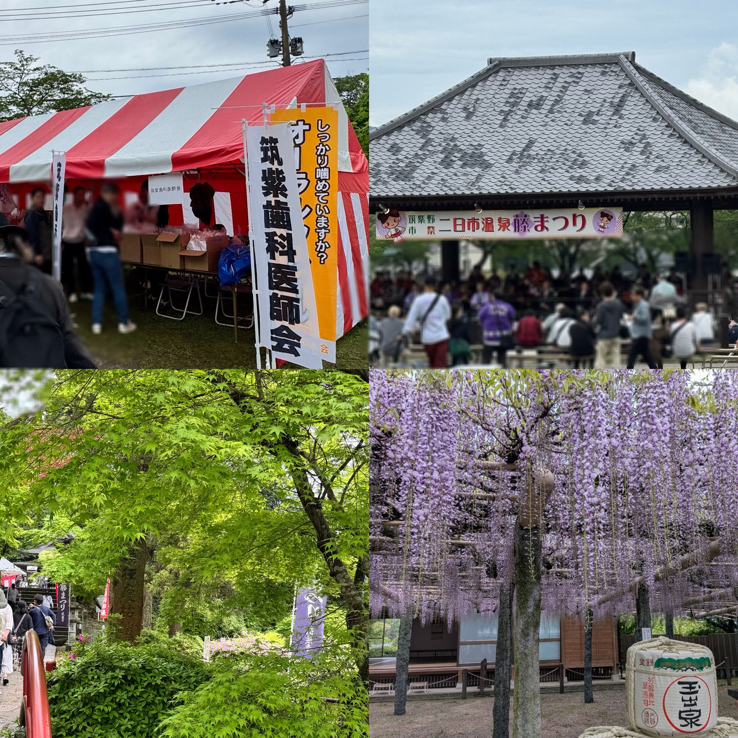 地域イベントでの取り組みと口腔ケアの大切さ