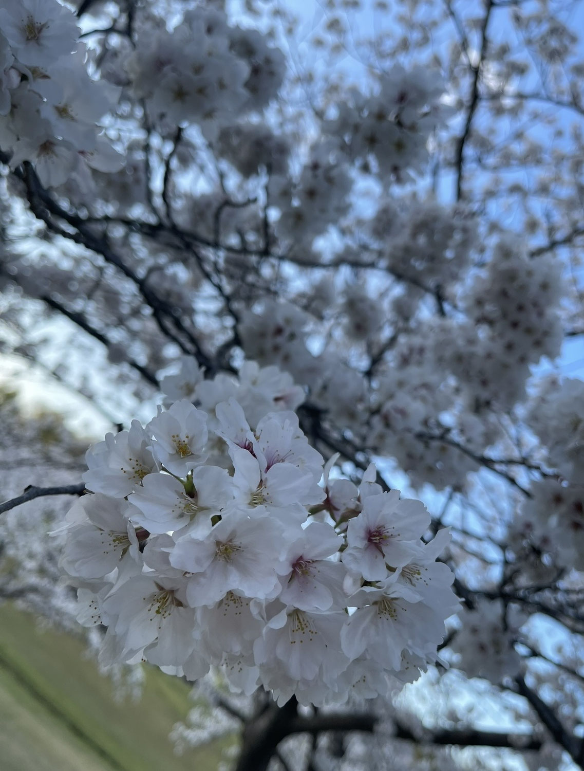変化の多い季節だからこそ