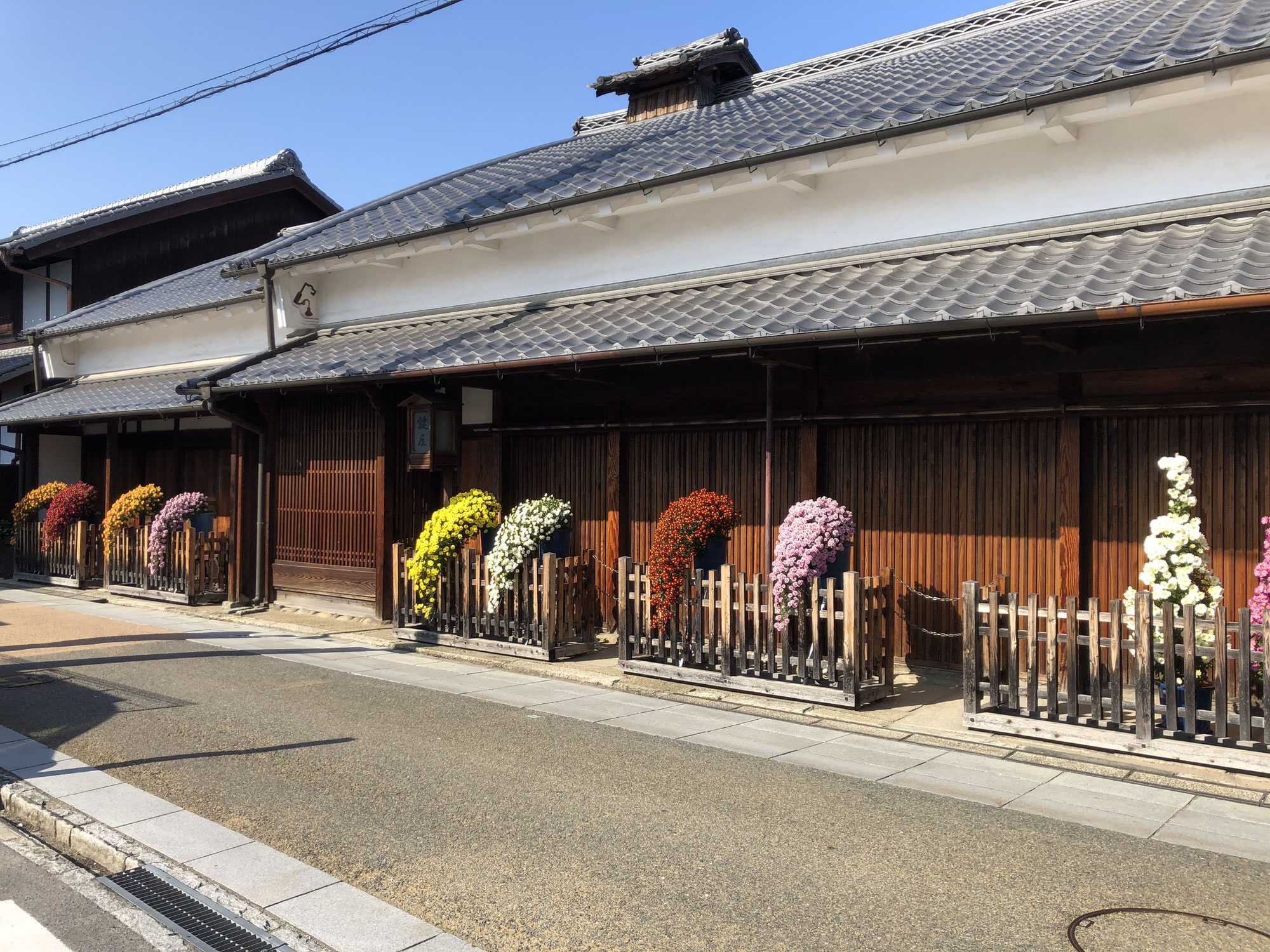 第21回枚方宿街道菊花祭俳句大会作品募集