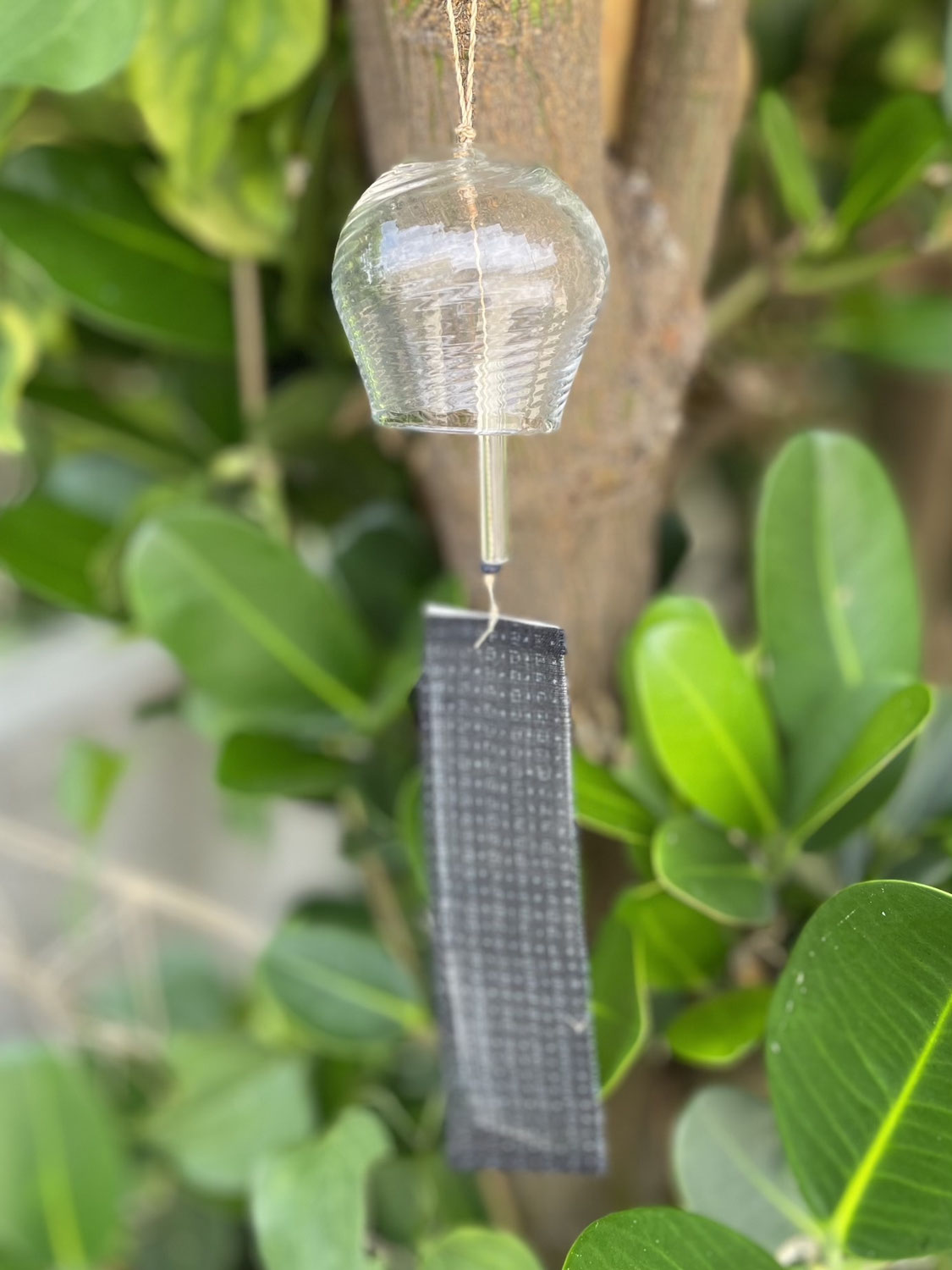 Windbell 2026