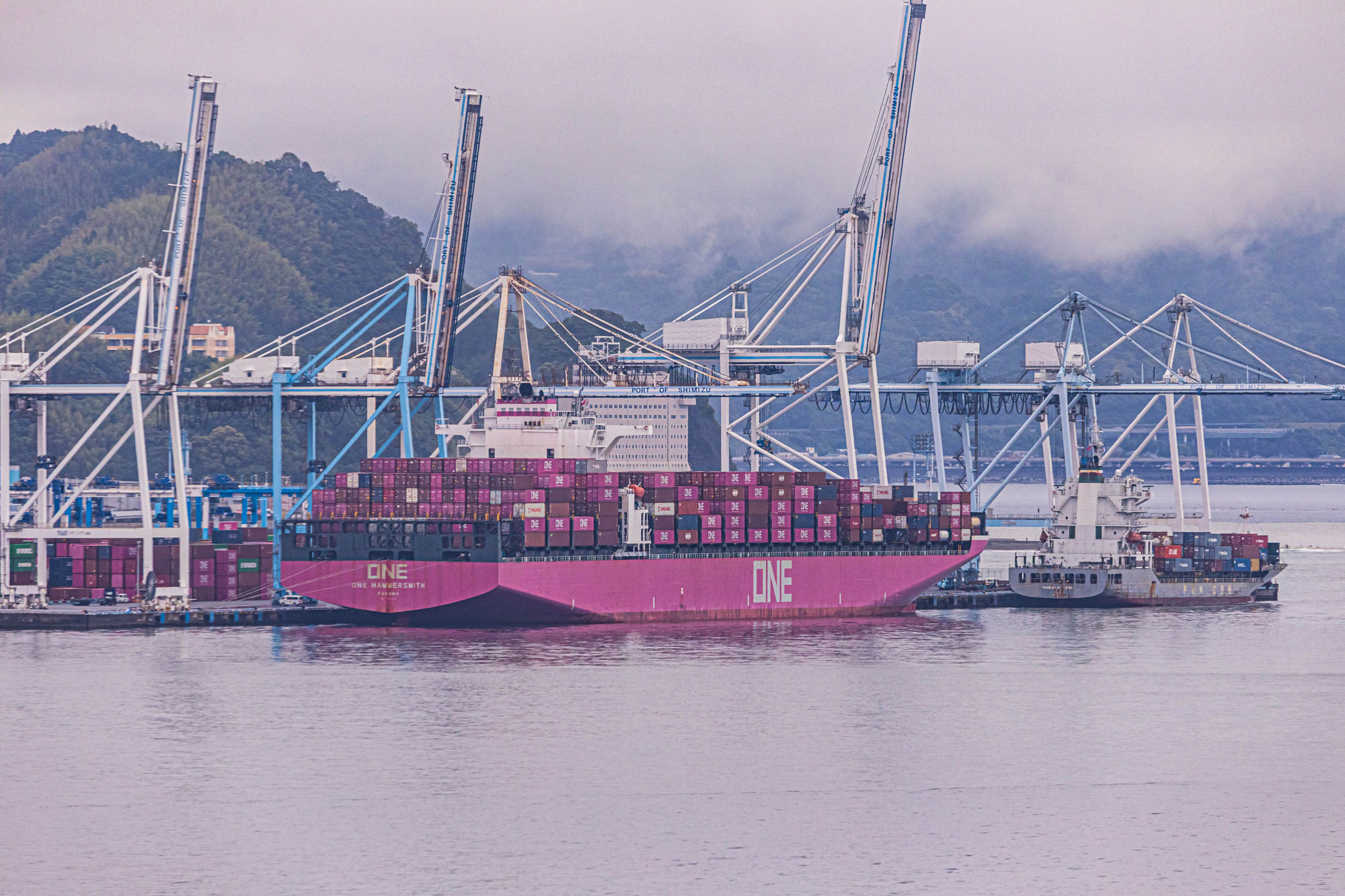 41,893TEU handled in June 2026