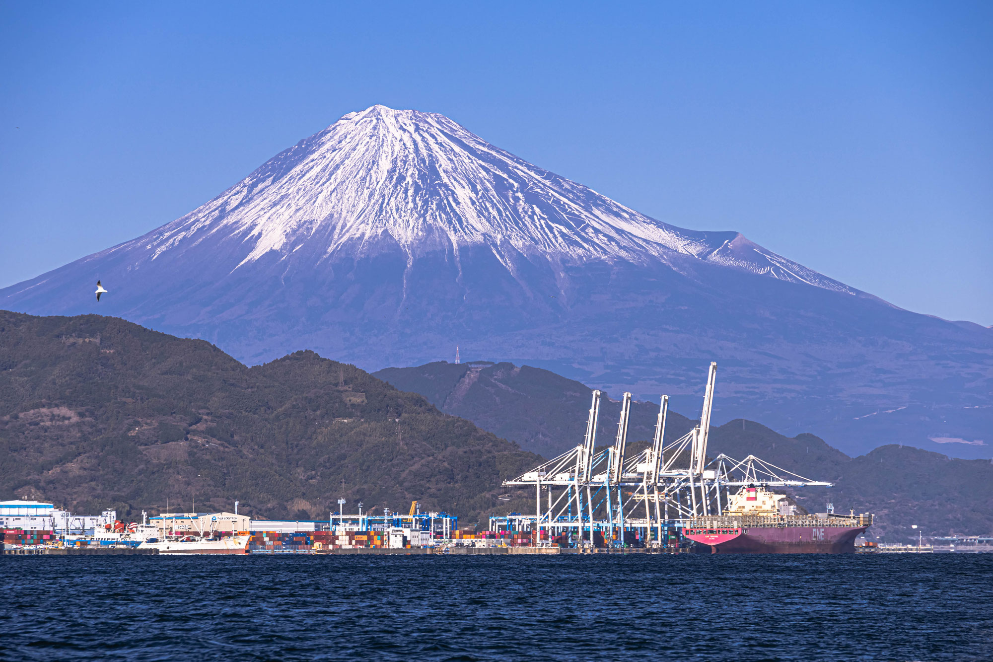 38,166TEU handled in January, 2025