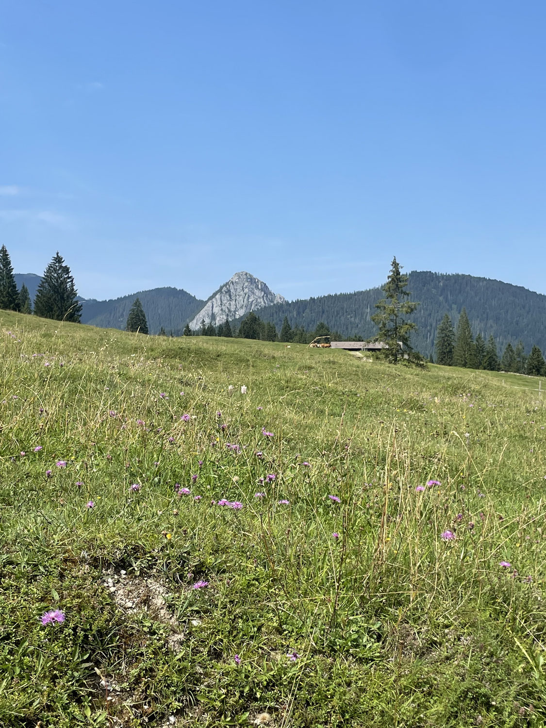 Sommerpause - Energie für Dialog und Handeln sammeln