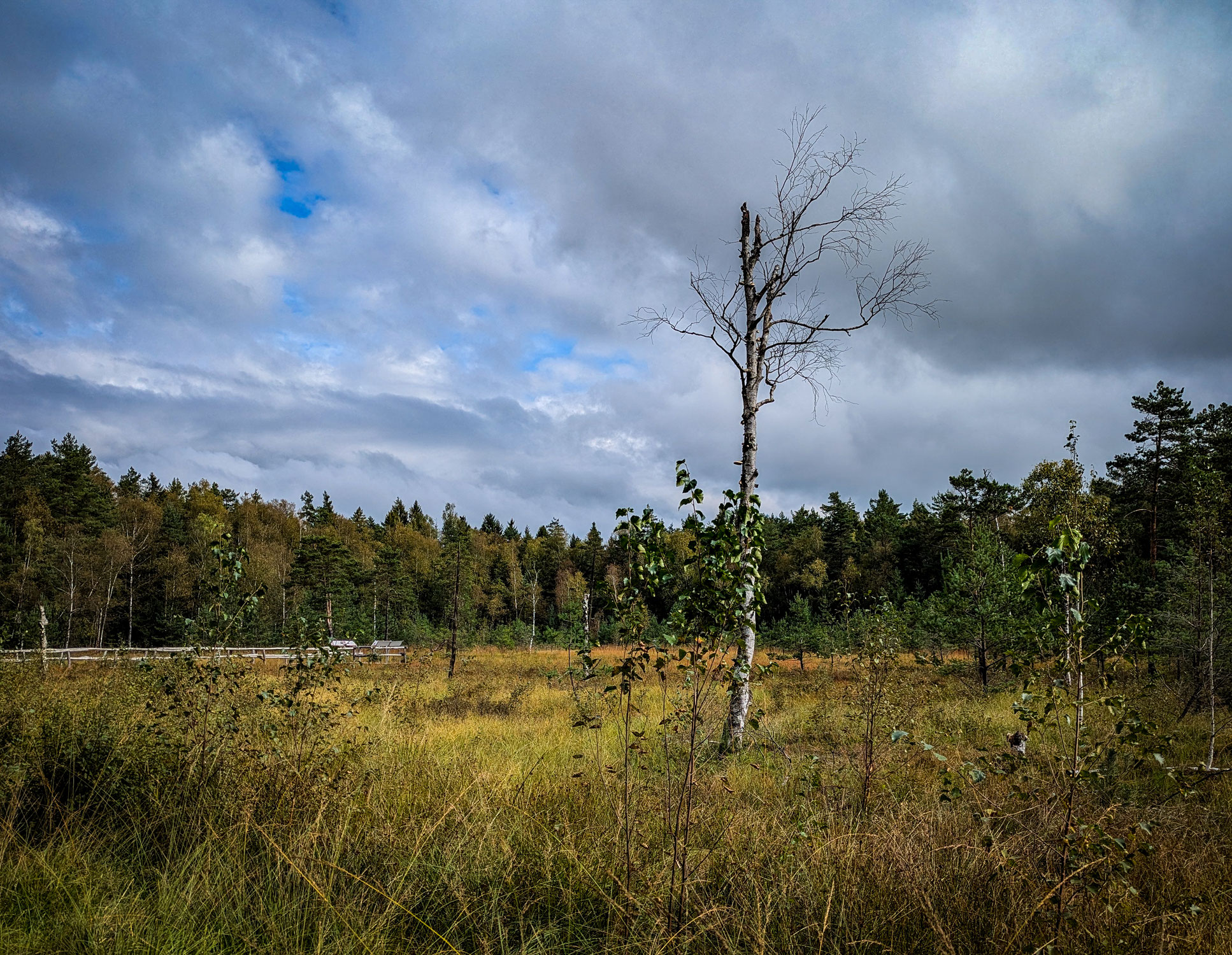 World Wetlands Day 2025