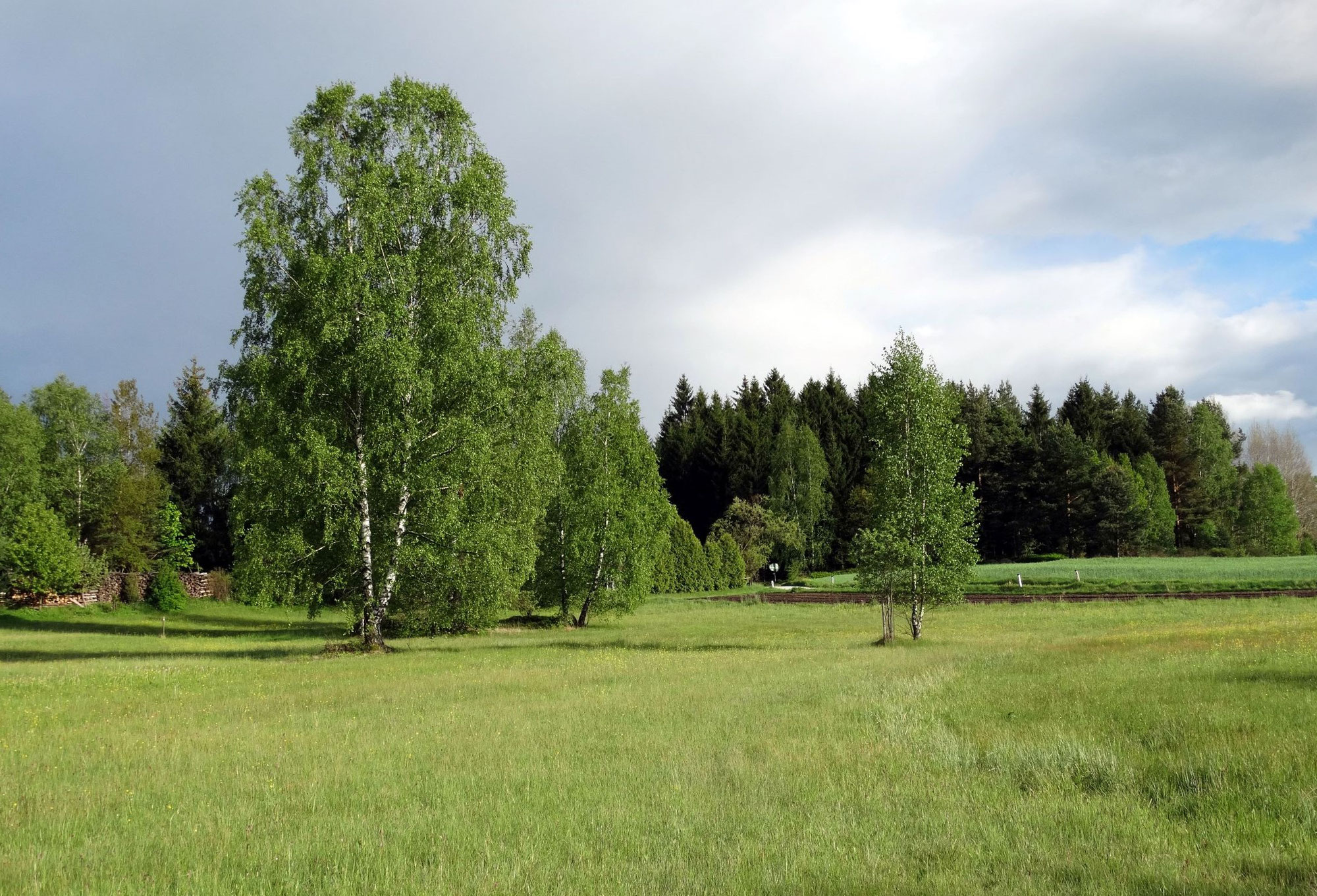 Waldviertel - steinreich