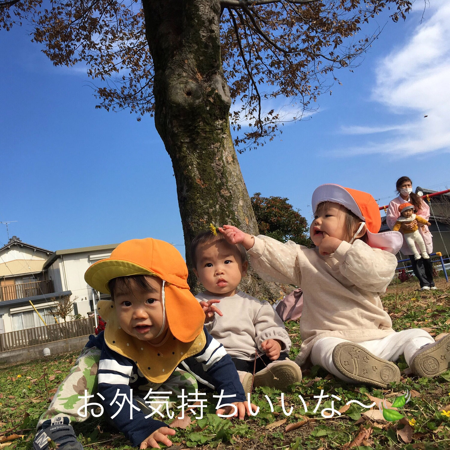 11月のわくわく♪—お誕生日会と遠足—