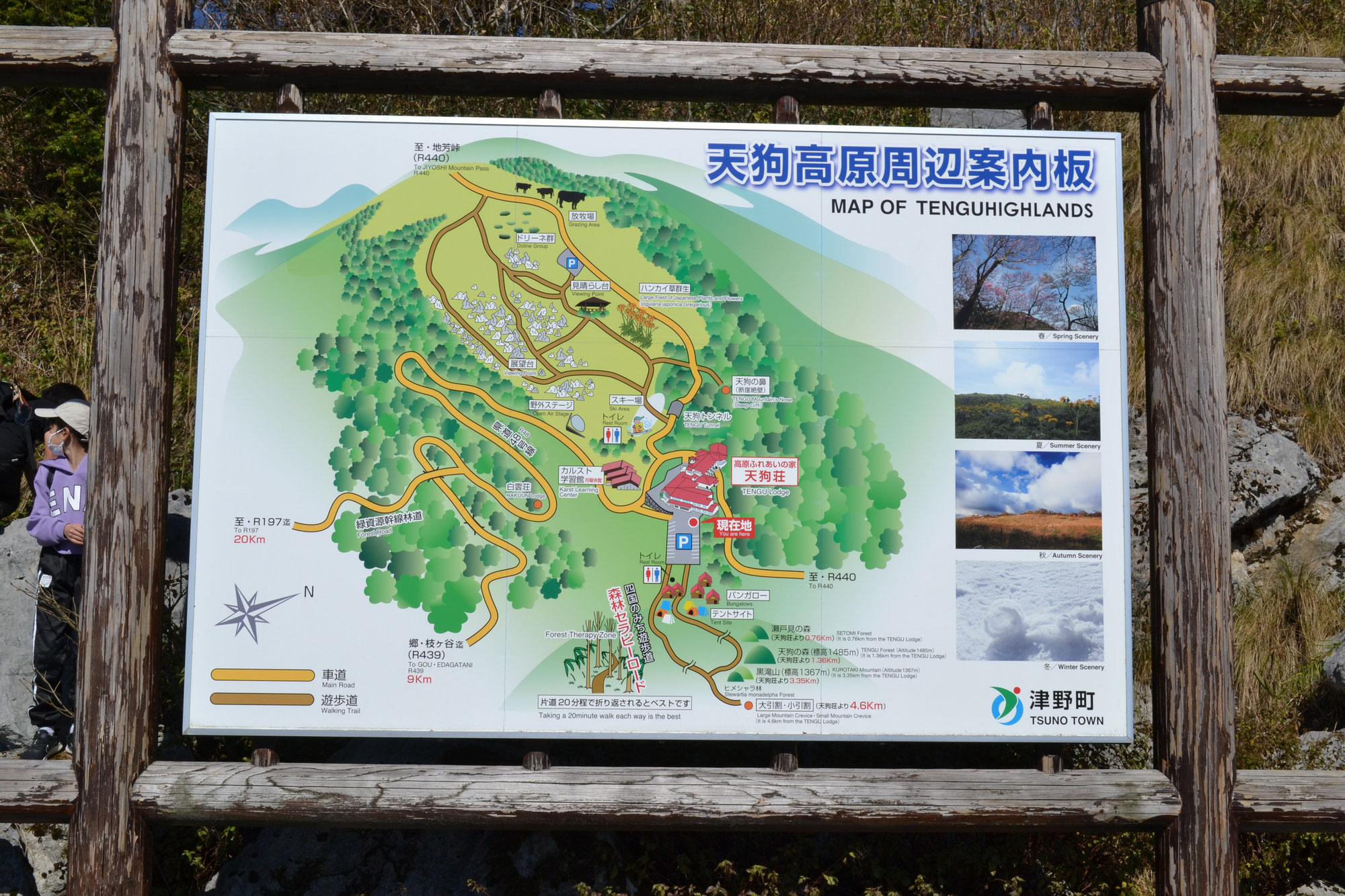 第５回大洲自然科学教室を行いました。