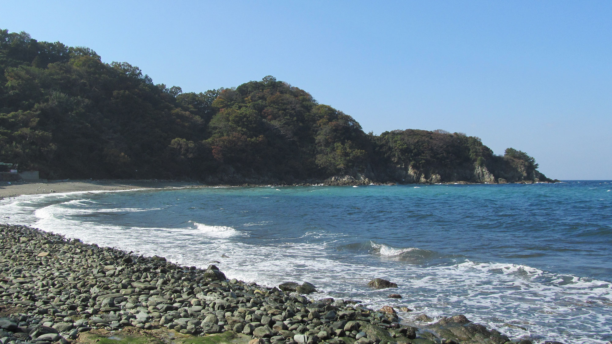 第４回大洲自然科学教室を行いました。