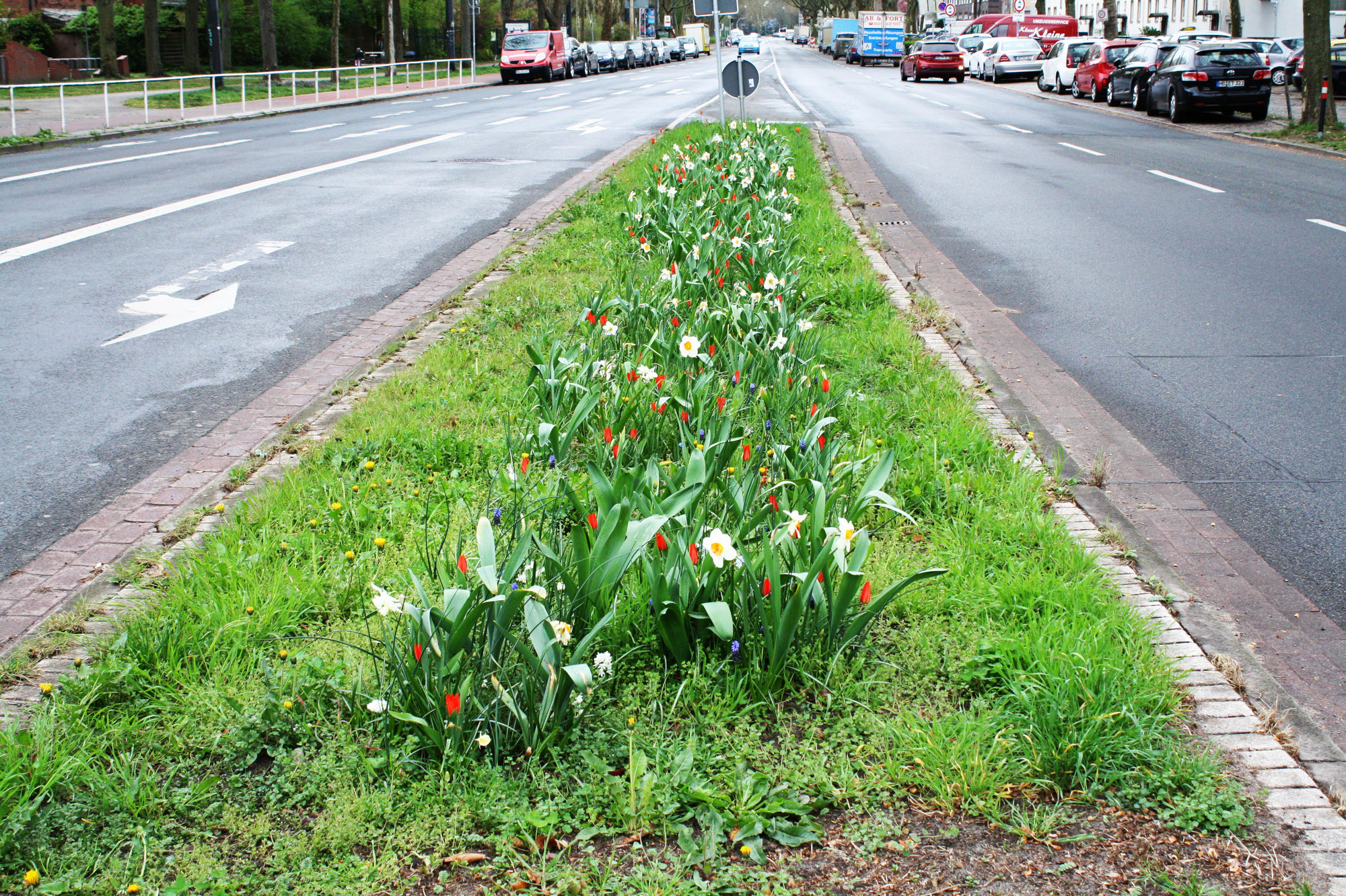 Frühling in Findorff! Wo es im Stadtteil blüht – und wo eine Grünfläche in einem besonders traurigen Zustand ist.