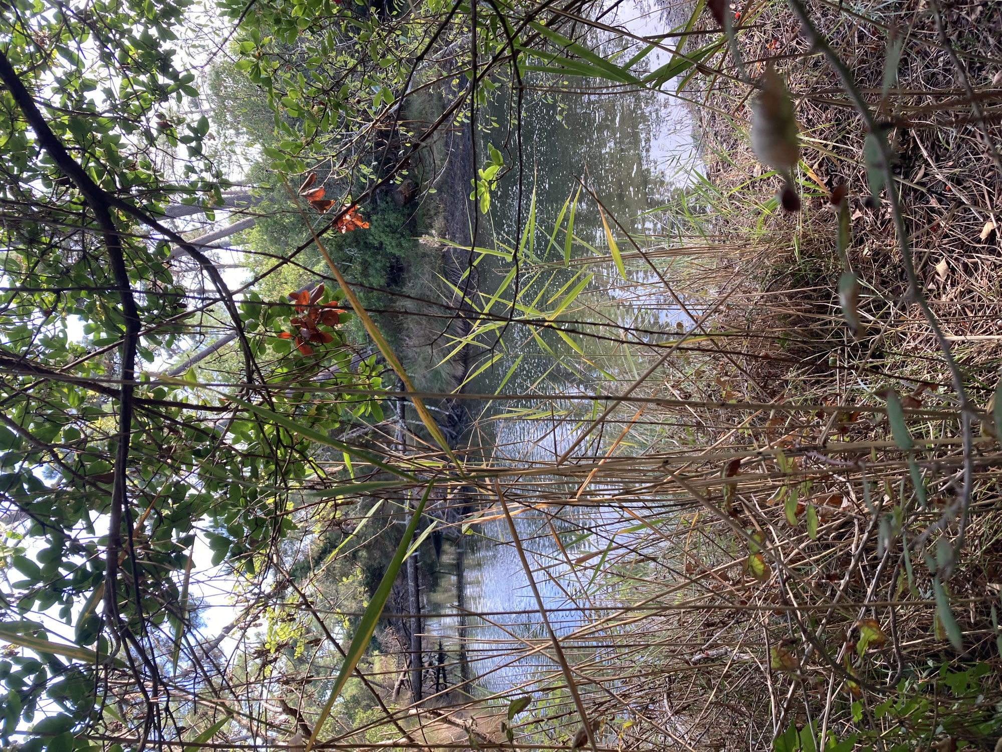 Les bottes de 7 lieues