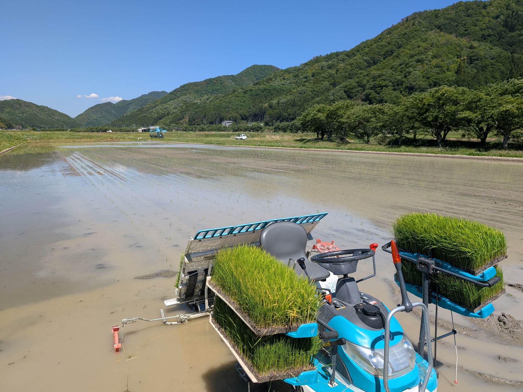 ☆本年度初投稿！