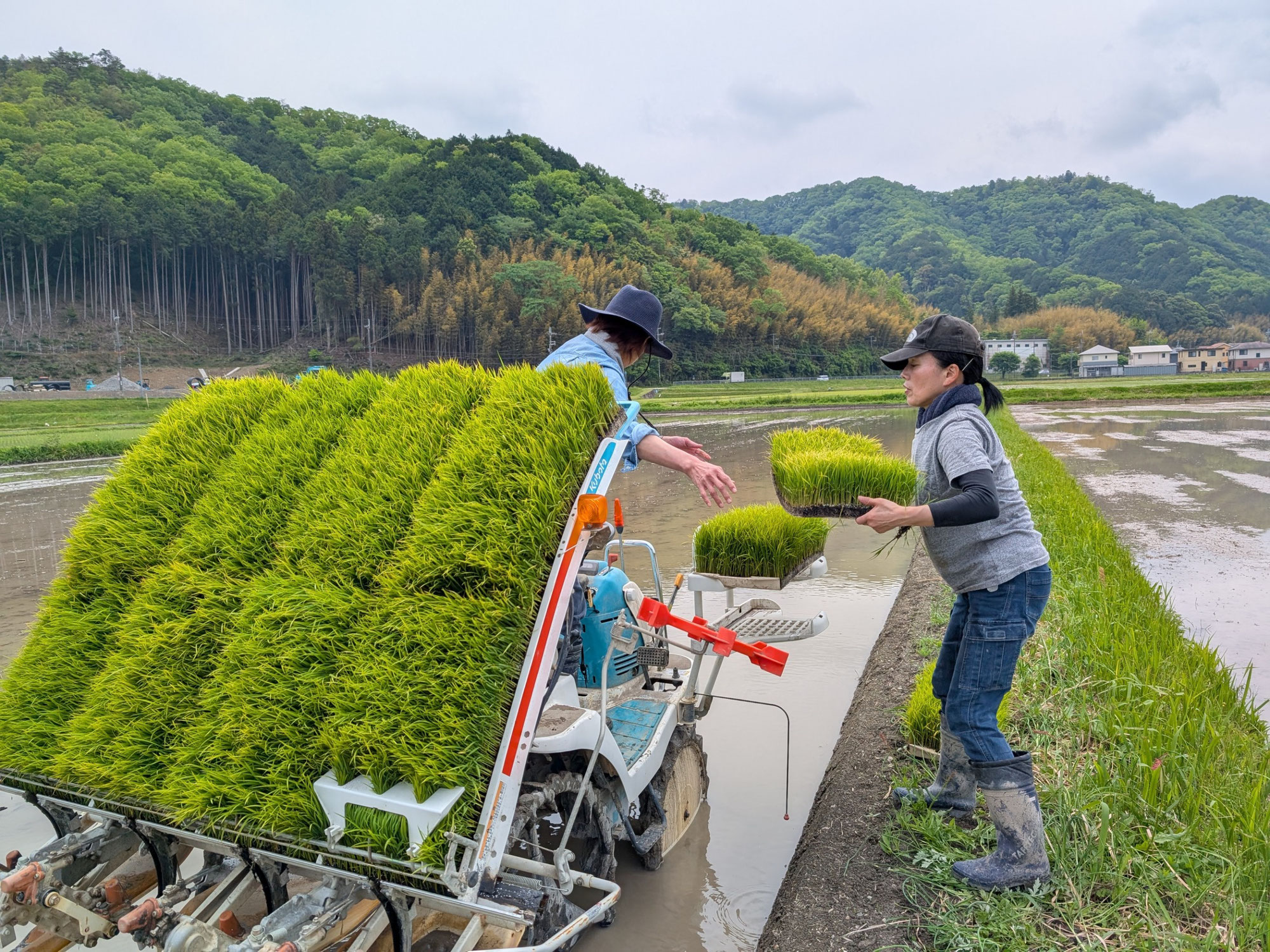 ☆２０２５田植え開始！