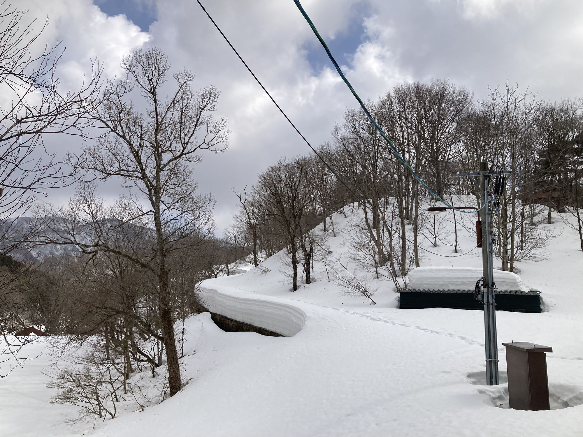 大雪でした。