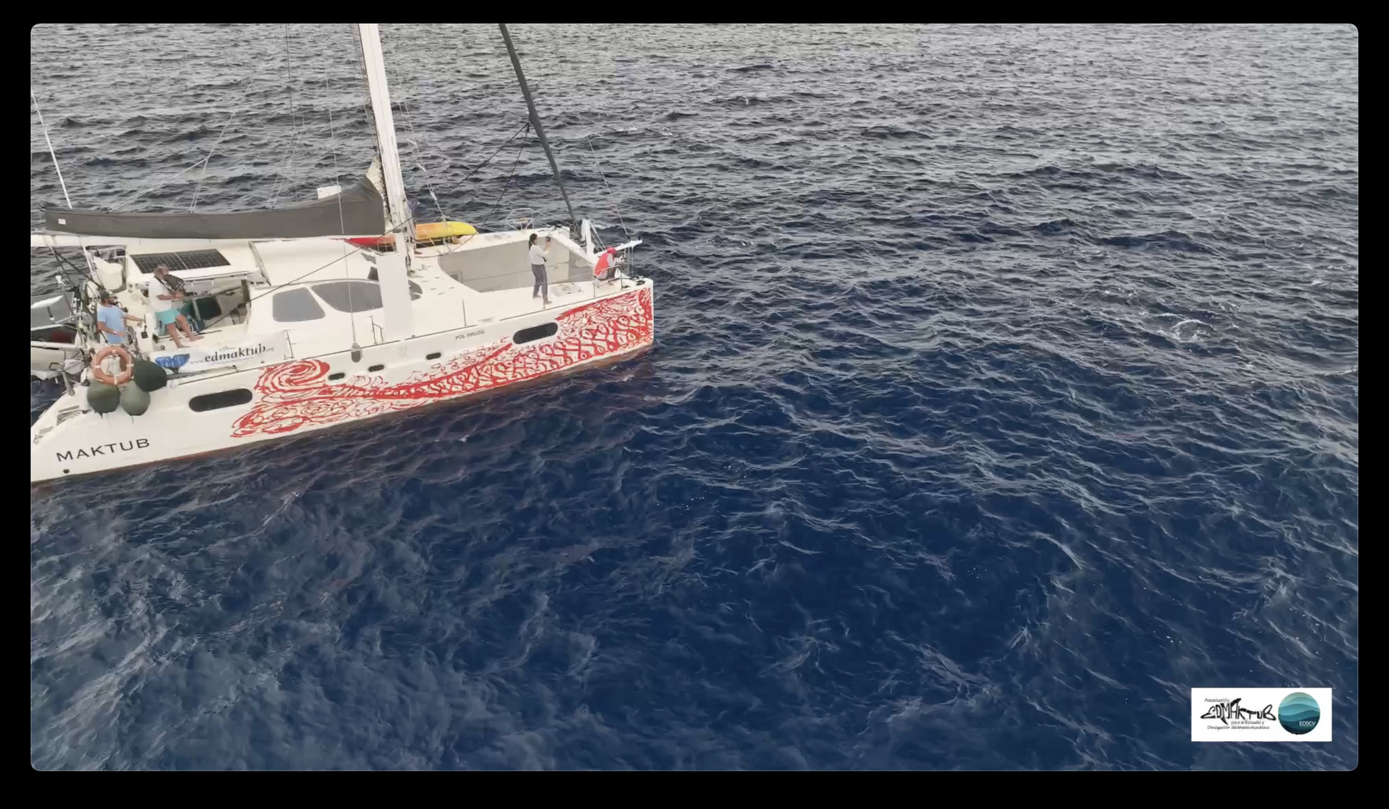 Whale and Dolphin Expedition CV-CETUS 2025