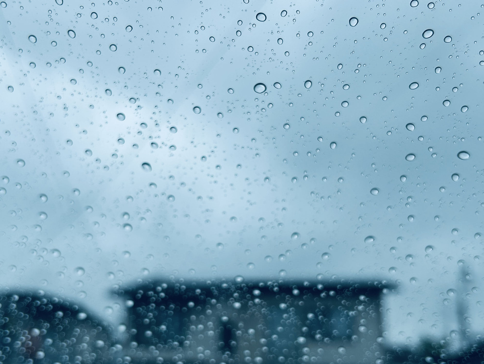 『梅雨入りしました～!!!』