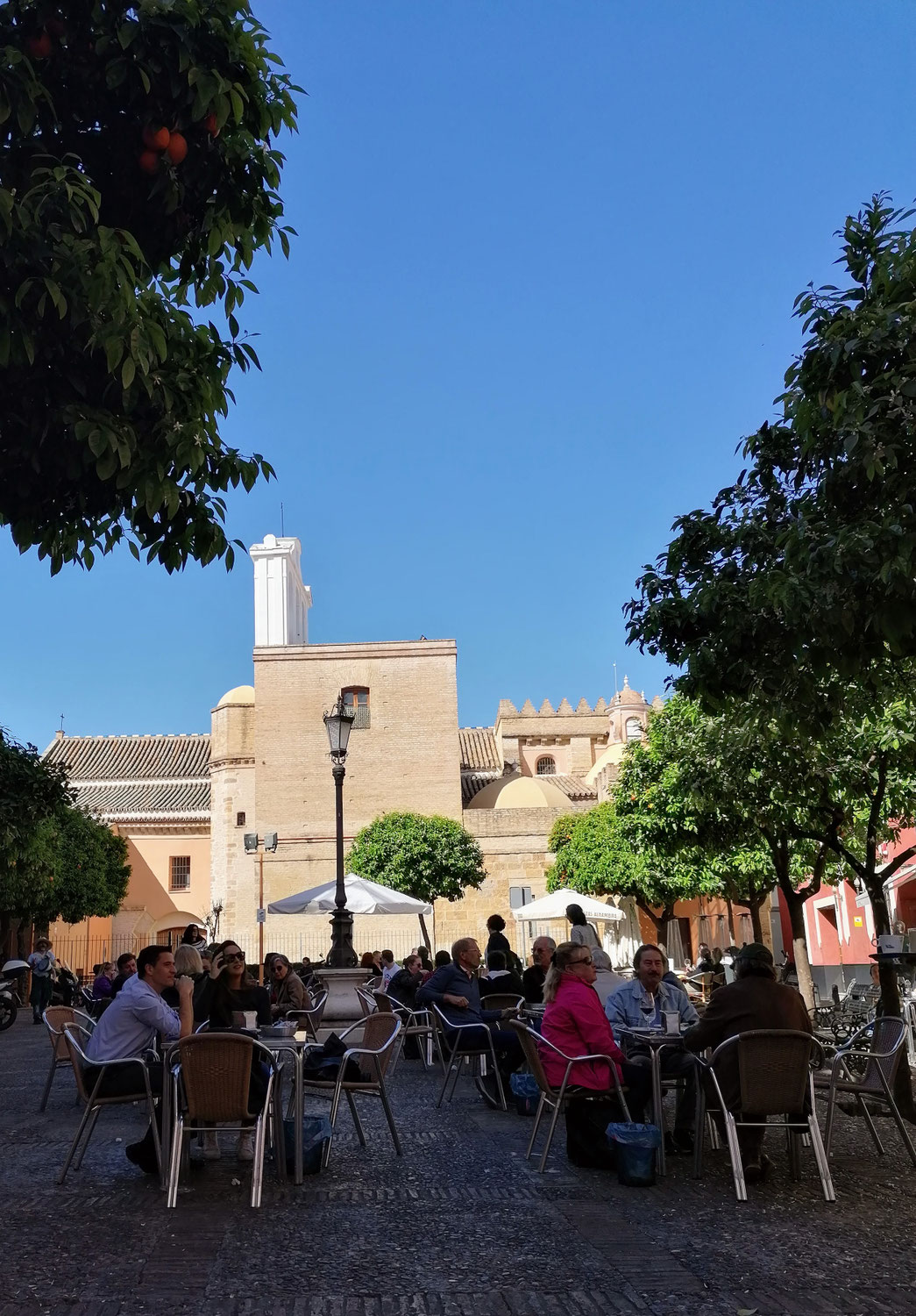 Visiter Séville au printemps : 4 astuces de guide pour éviter la foule et vivre l'Andalousie authentique