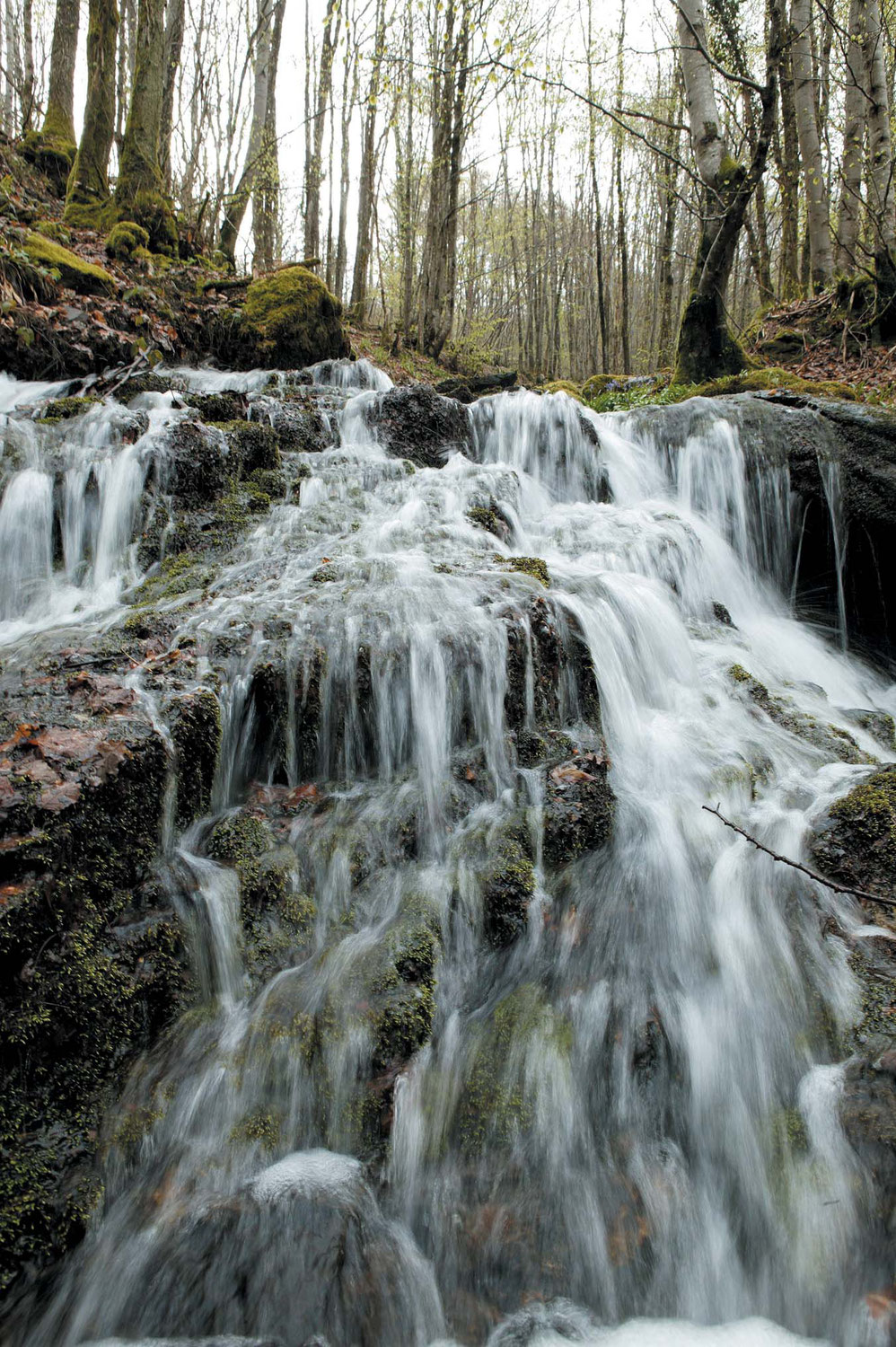 lacaune les bains tarn