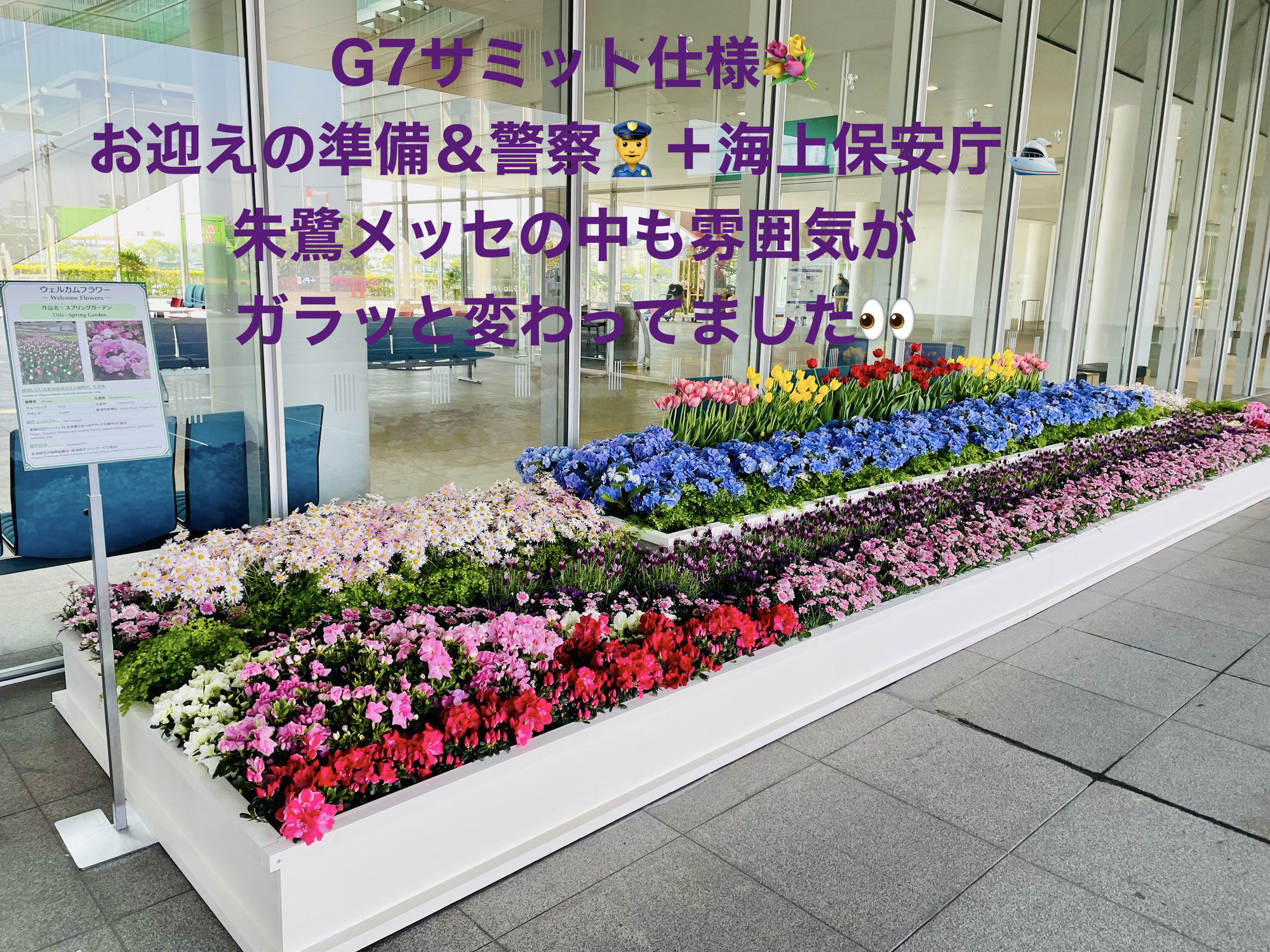 G7サミット仕様