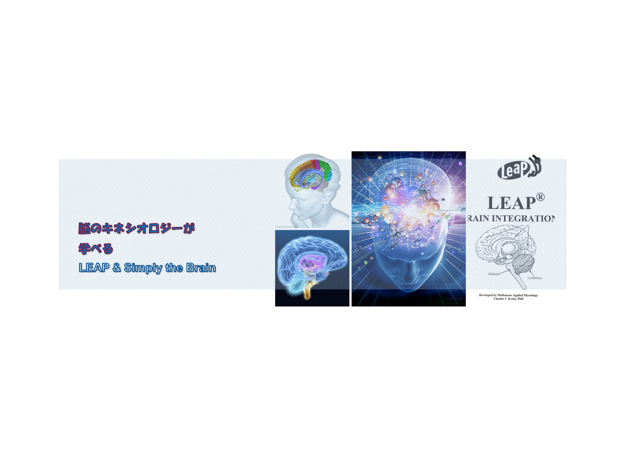 シェイデル敦子「THE BRAIN 最先端の脳科学プログラム」 通販本・音楽・ゲーム - シェイデル敦子先生の【THE BRAIN-最
