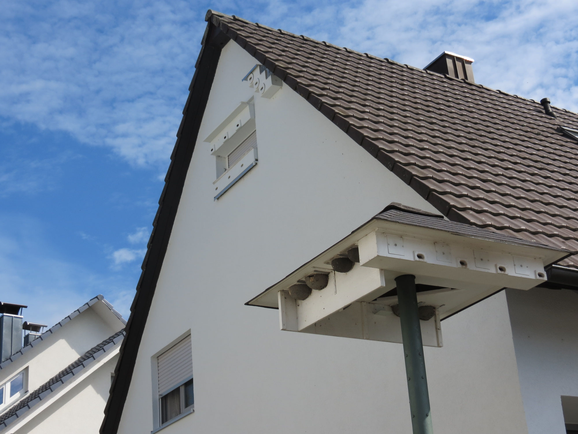 Vor-Ort-Begehung: "Artenschutz am Haus"