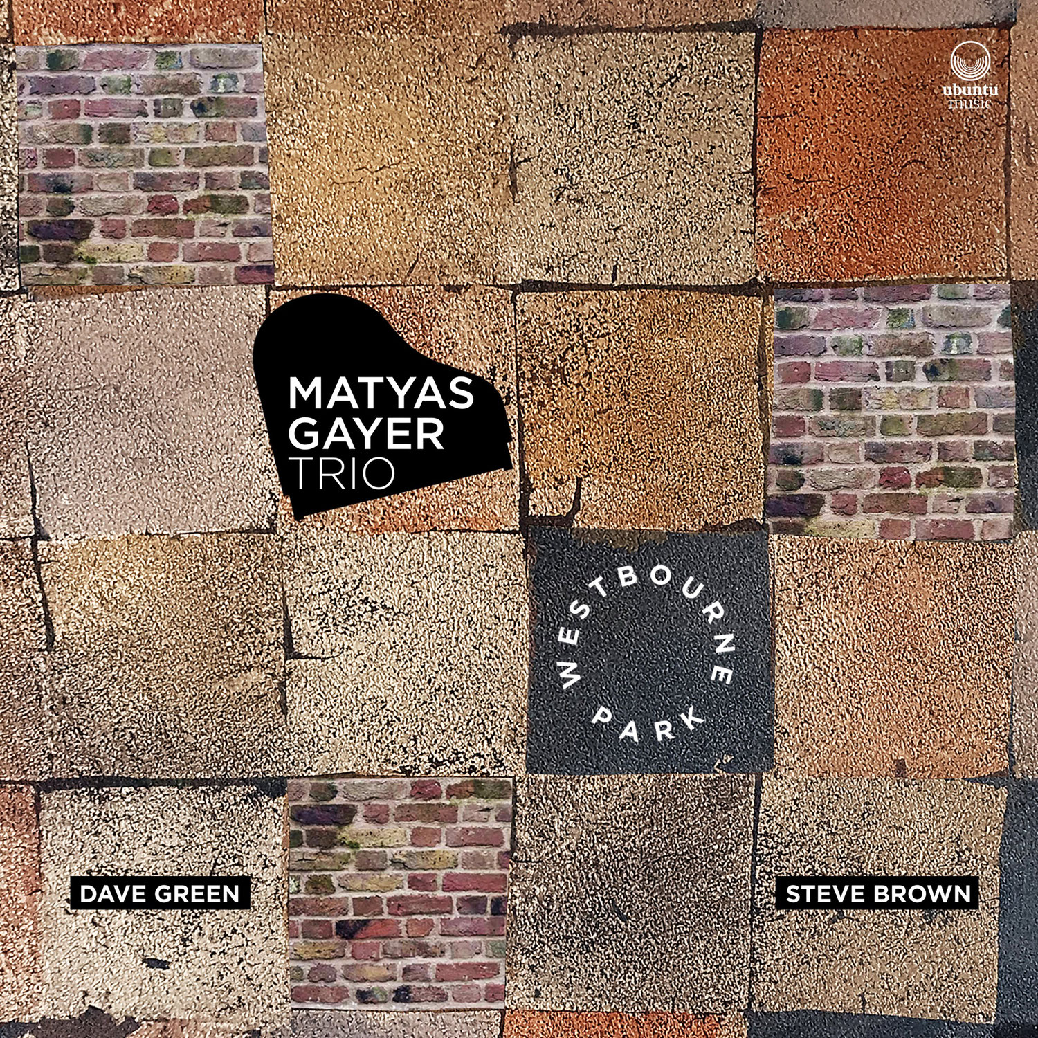 Matyas Gayer Interview