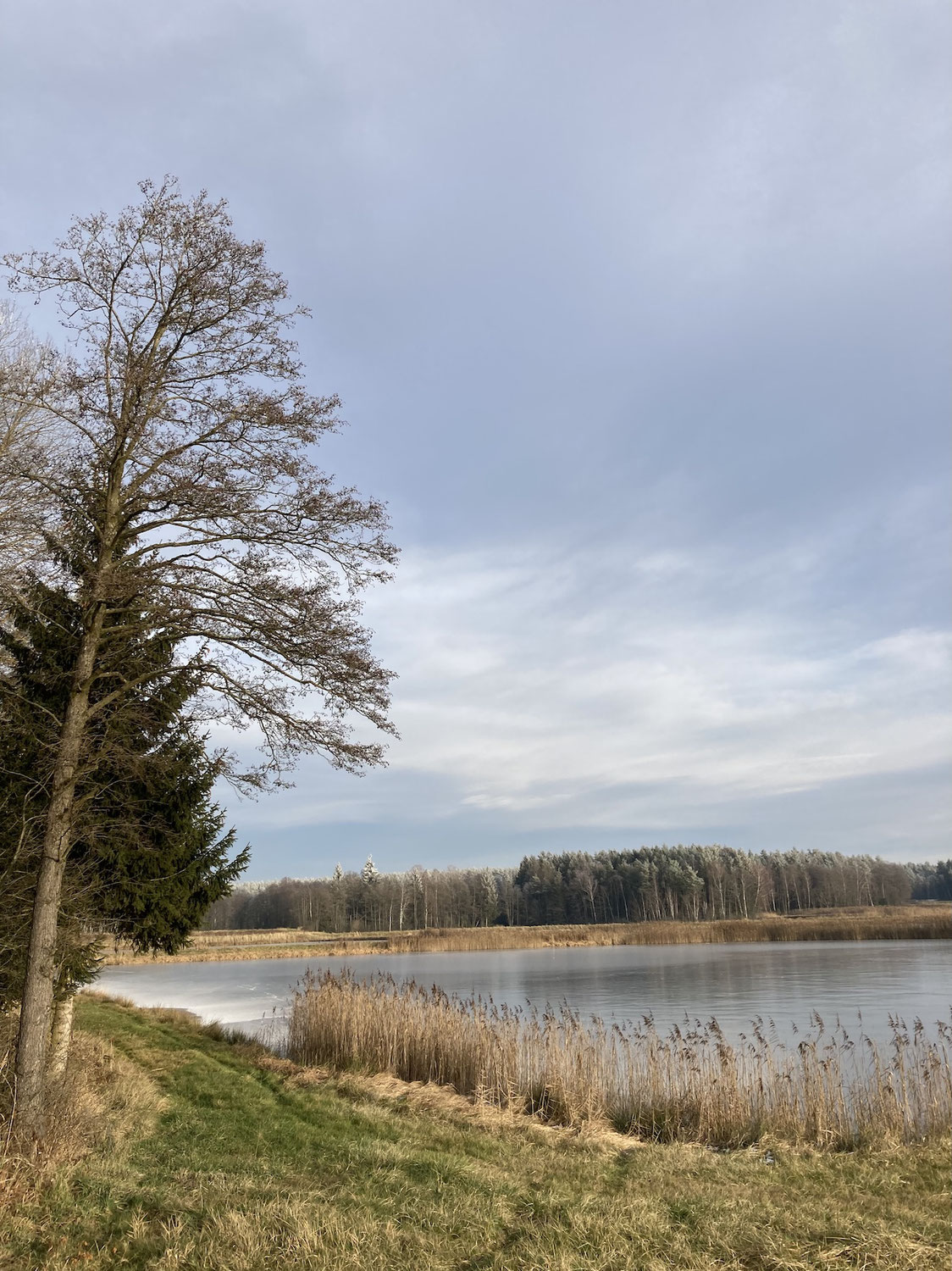 Fundstück: Oberpfälzer Karpfenzucht