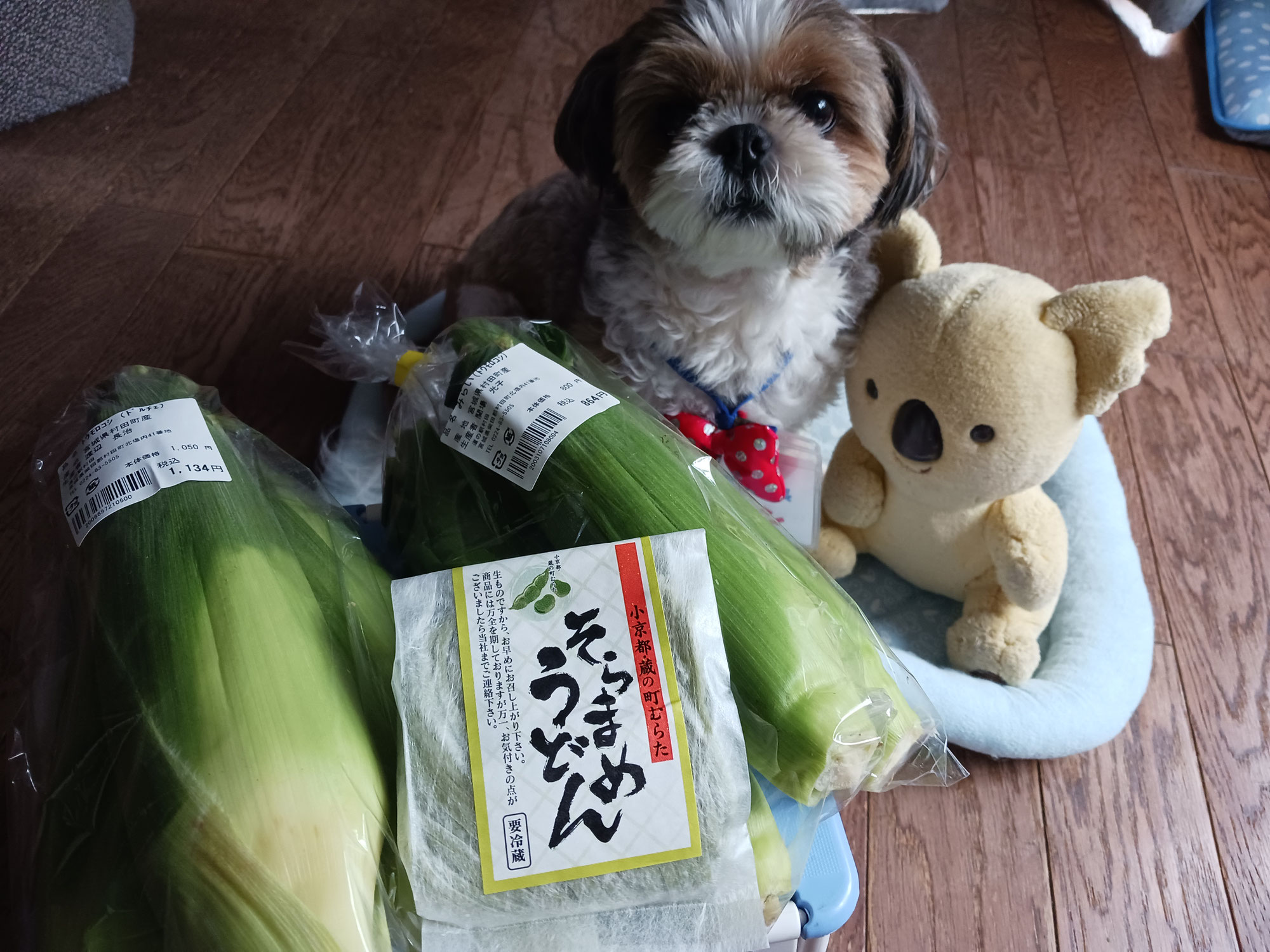 道の駅村田でトウモロコシ