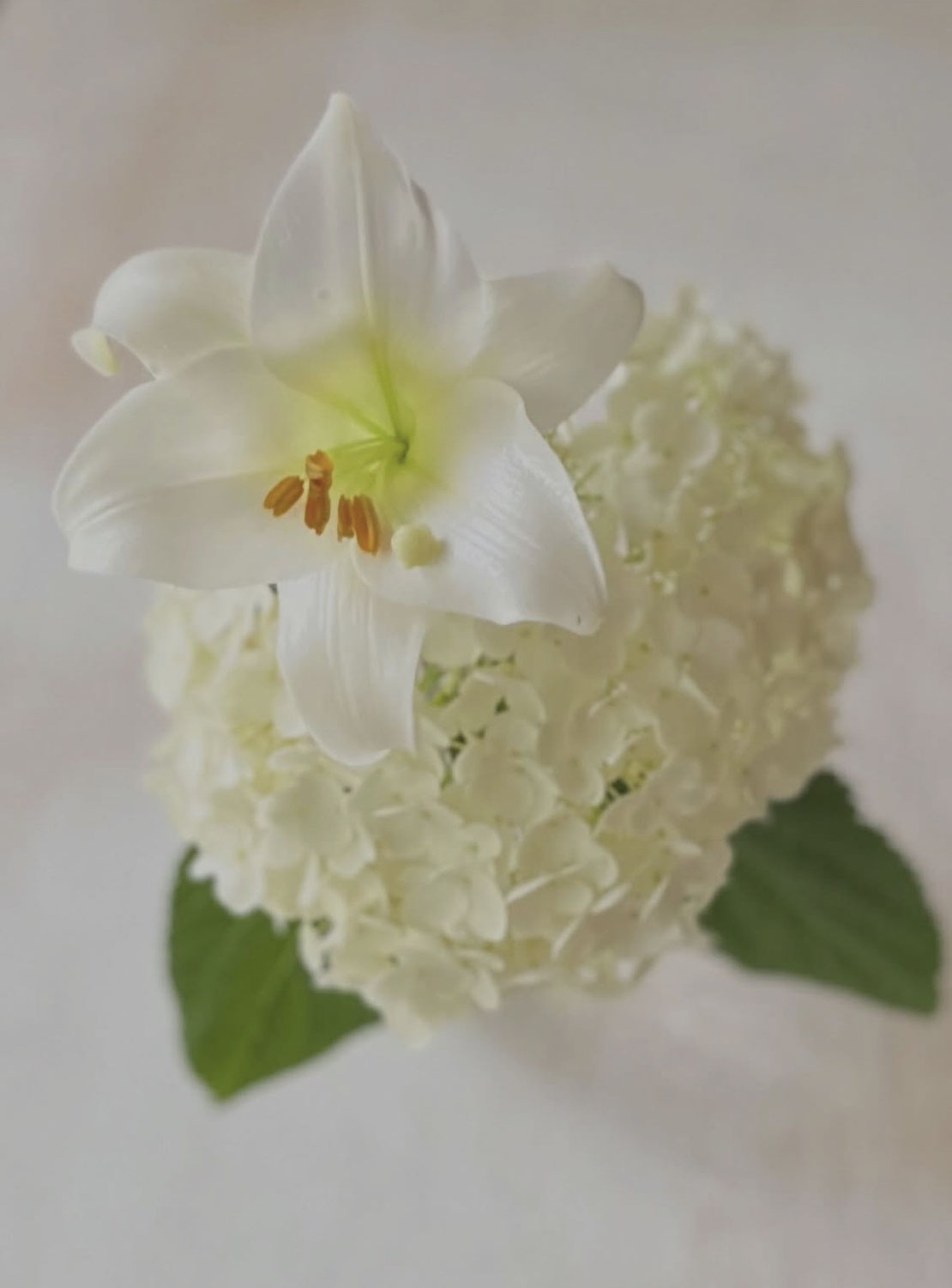 庭の花を飾って楽しむ