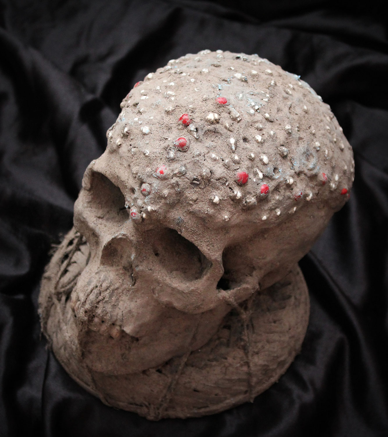 Cráneo (TIV - Nigeria) Skull