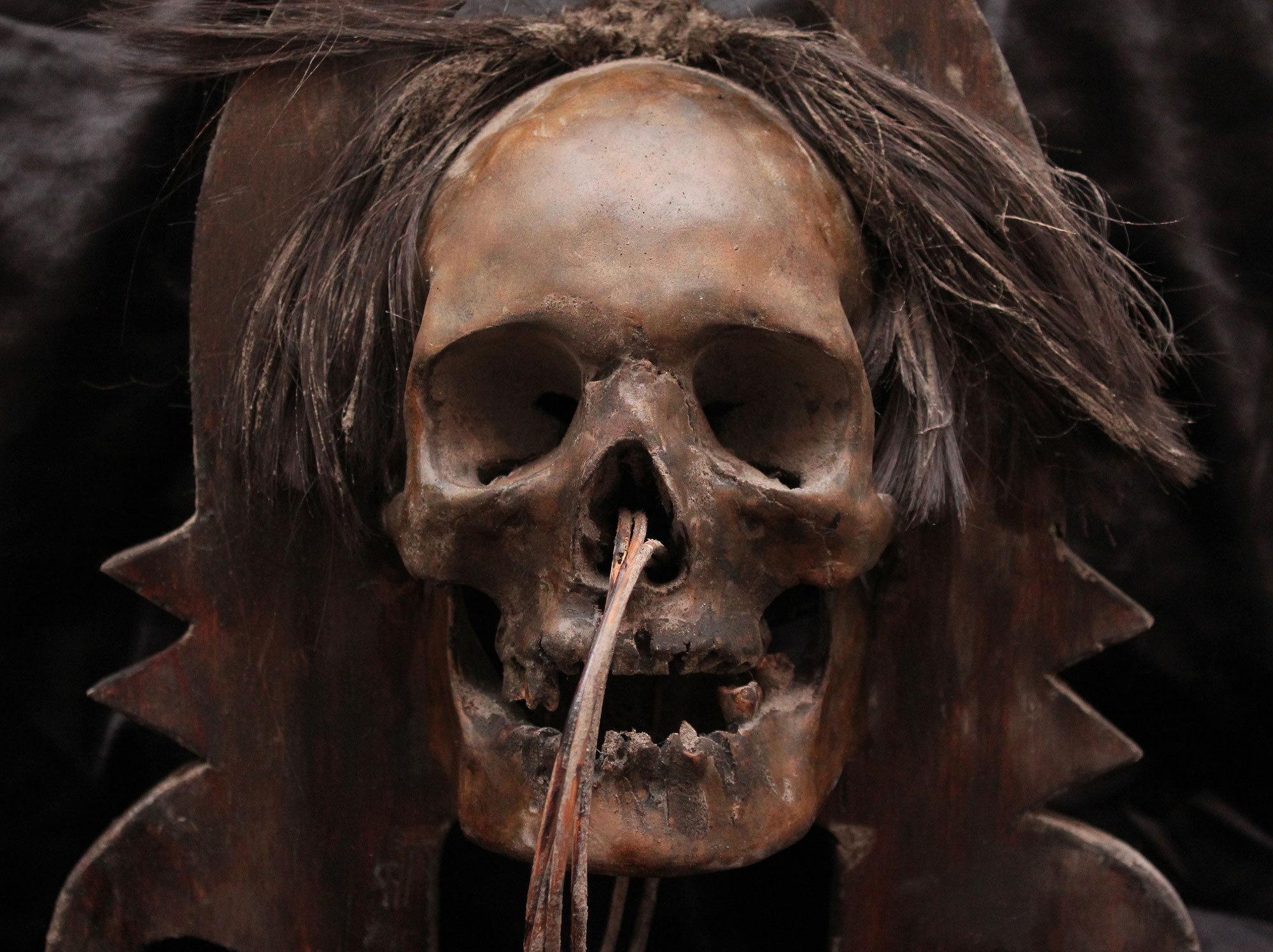 Cráneo - APO KAYAN - Skull