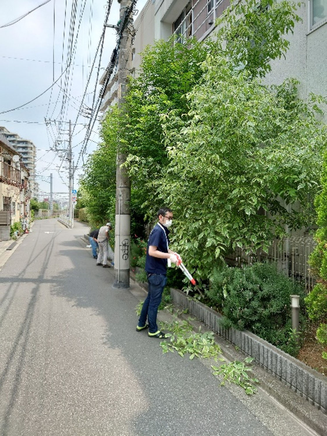 【春風寮】少しずつでも...　春風寮雑草への挑戦！