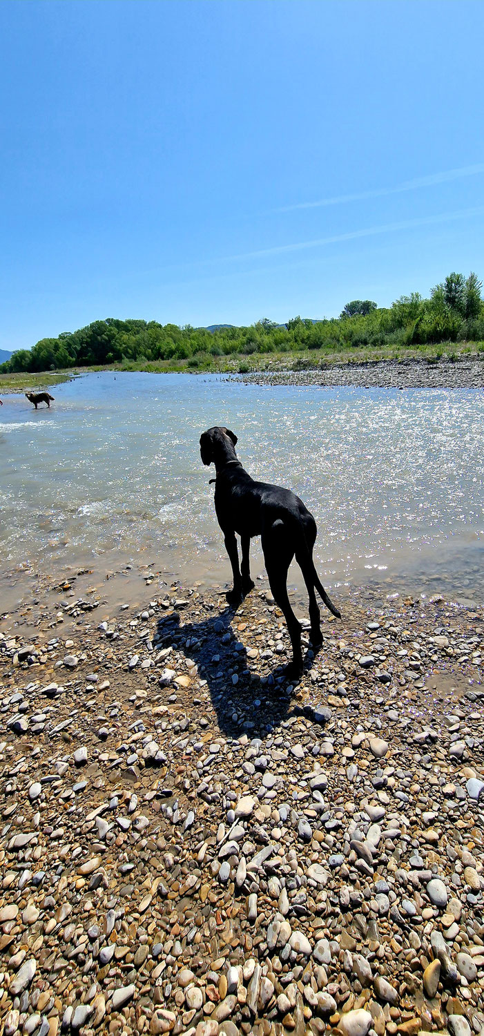 Erholsame Wanderung am Fluss