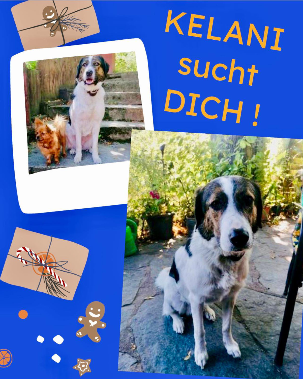 Advent, Advent, das 4. Lichtlein brennt 🕯️🕯️🕯️🕯️🎄