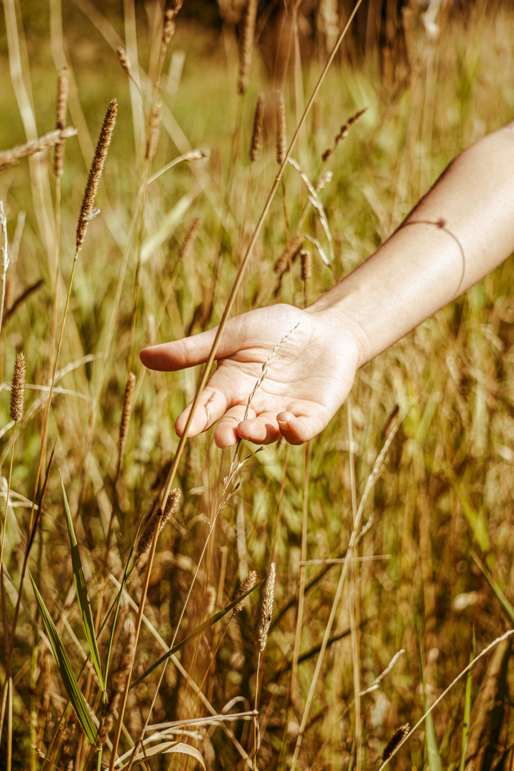 Was passiert wirklich in einer Hypnose-Coaching-Sitzung?