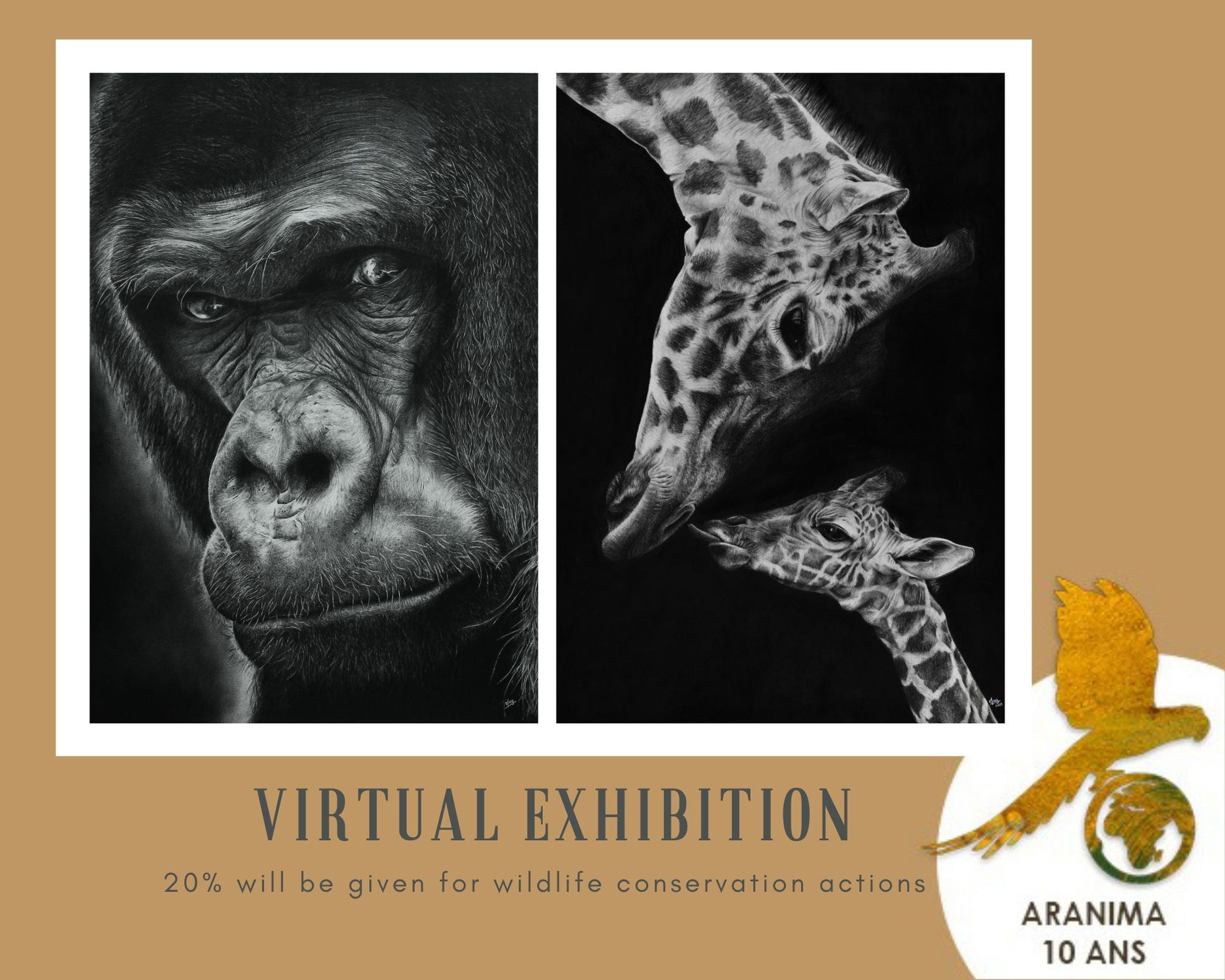 ArAnimA Exposition Virtuelle "10 ans"