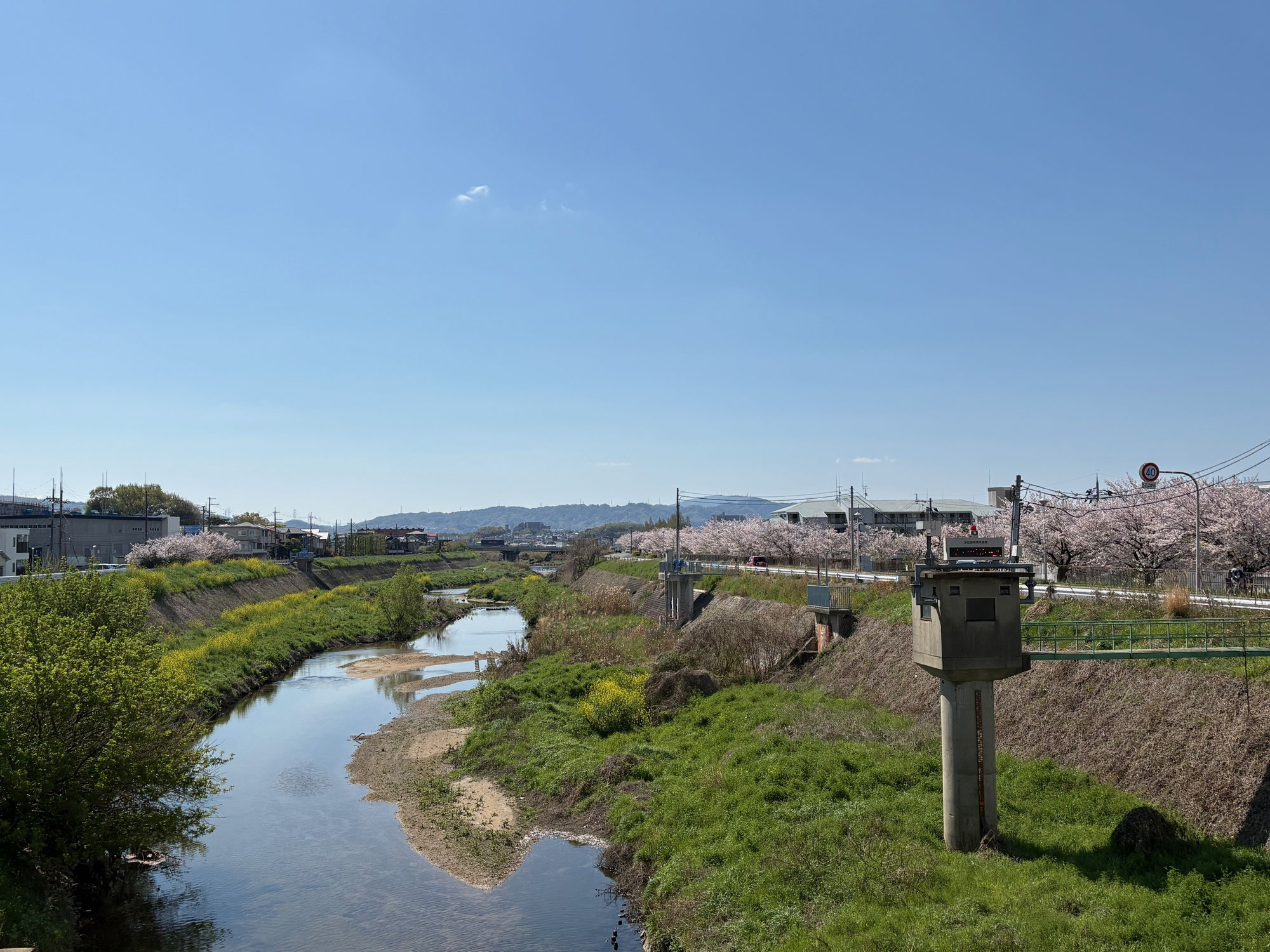 花冷え