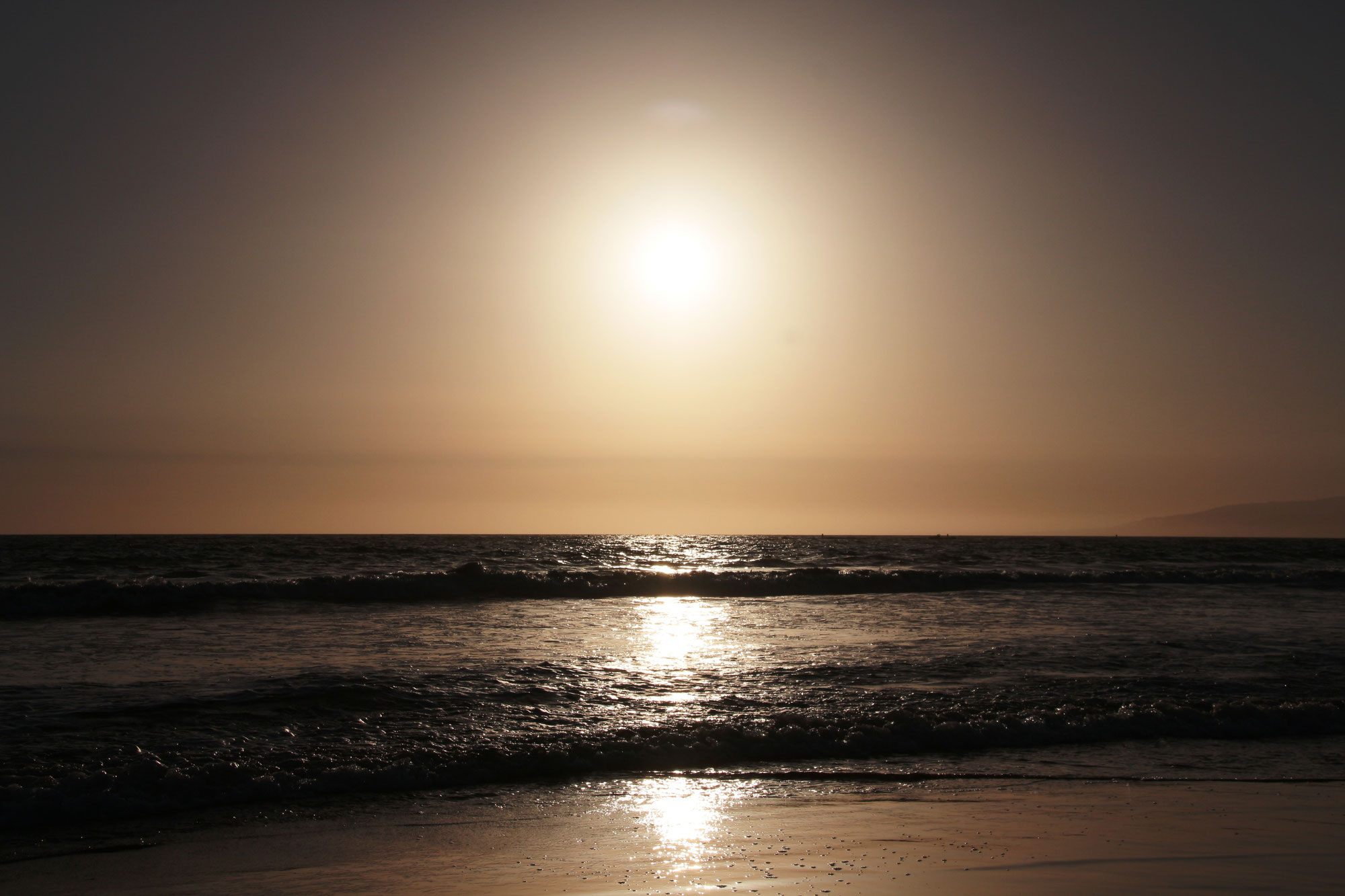 Schokoladenpudding - monisrezeptes Webseite! Schokoladenpudding - monisrezeptes Webseite!