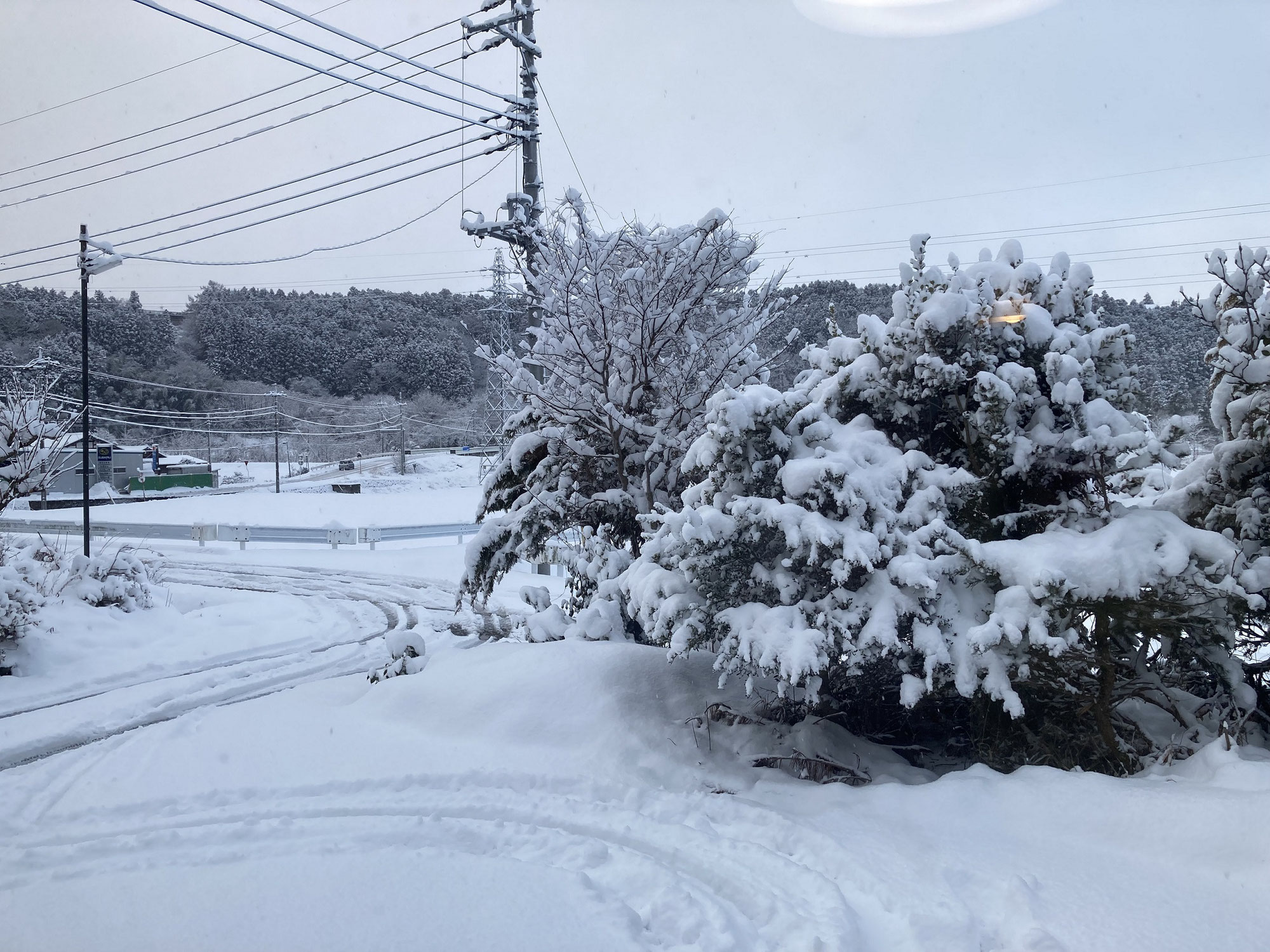 また雪だよー