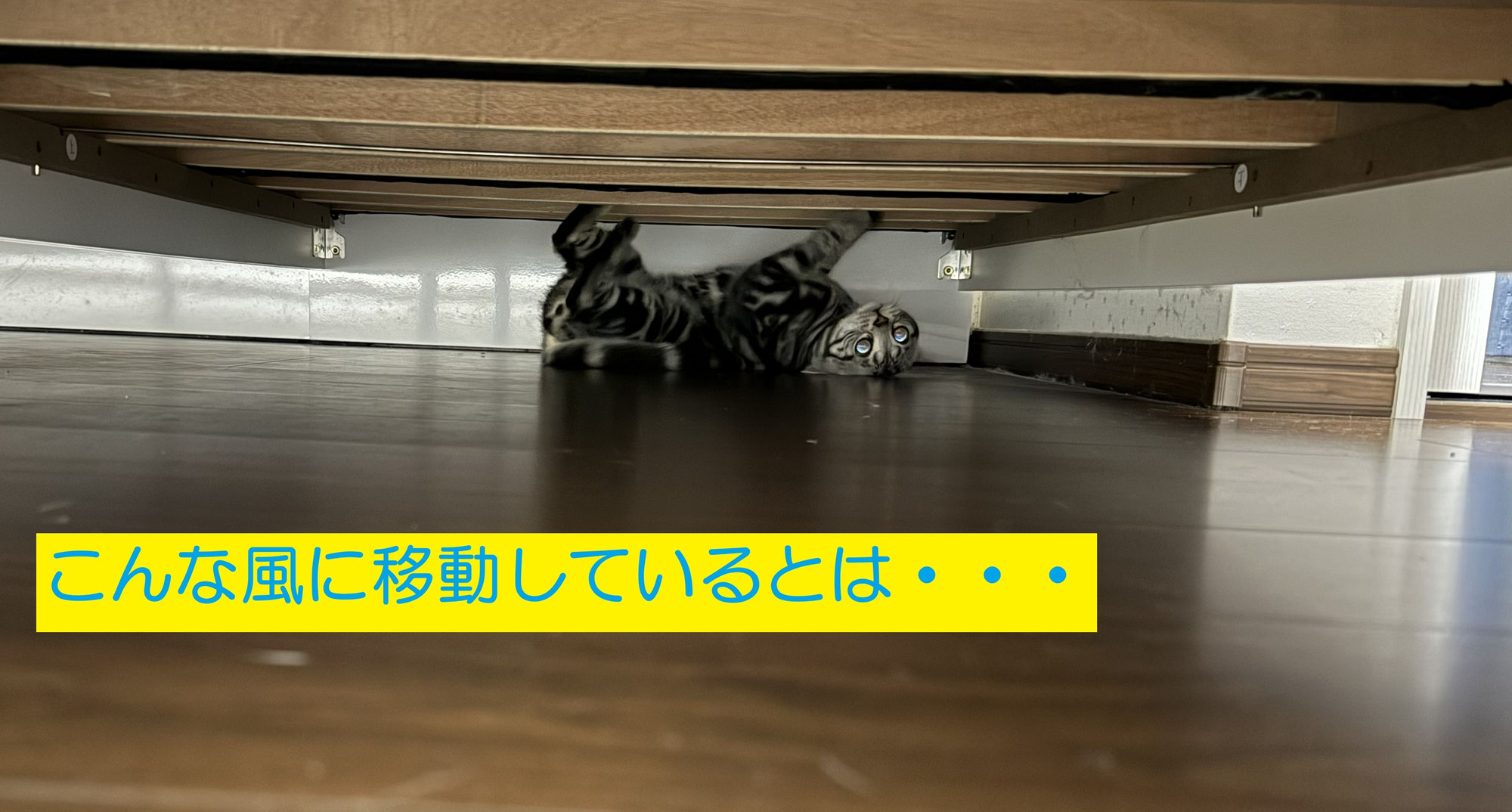 まさか、こんな風に・・・