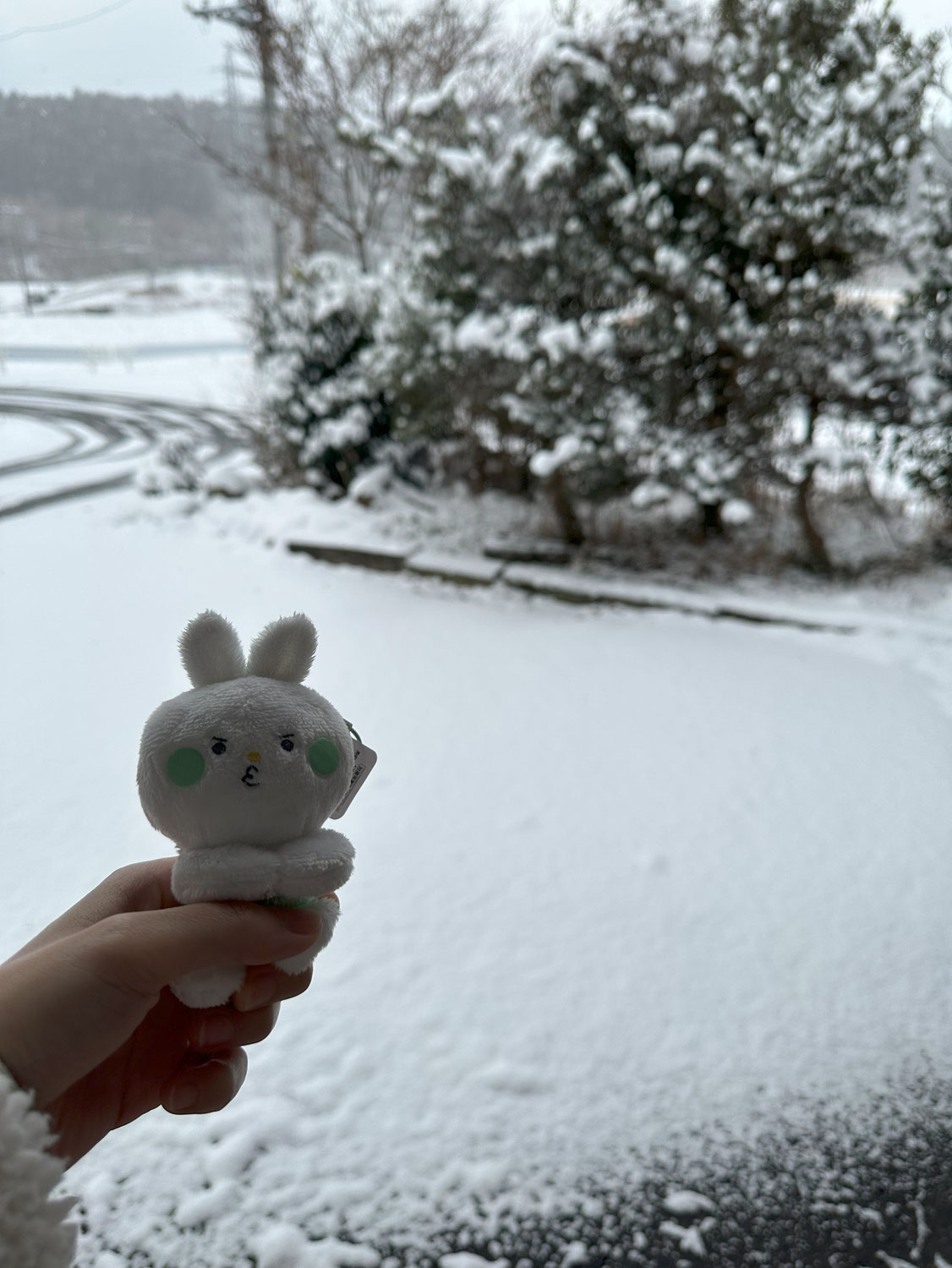 思ったより積もってます！！