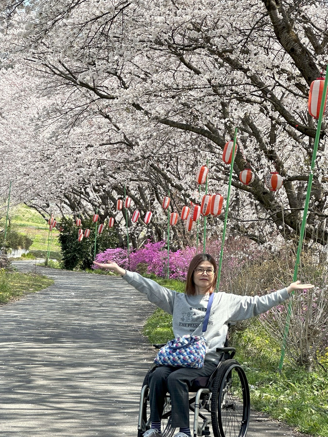 桜満開に