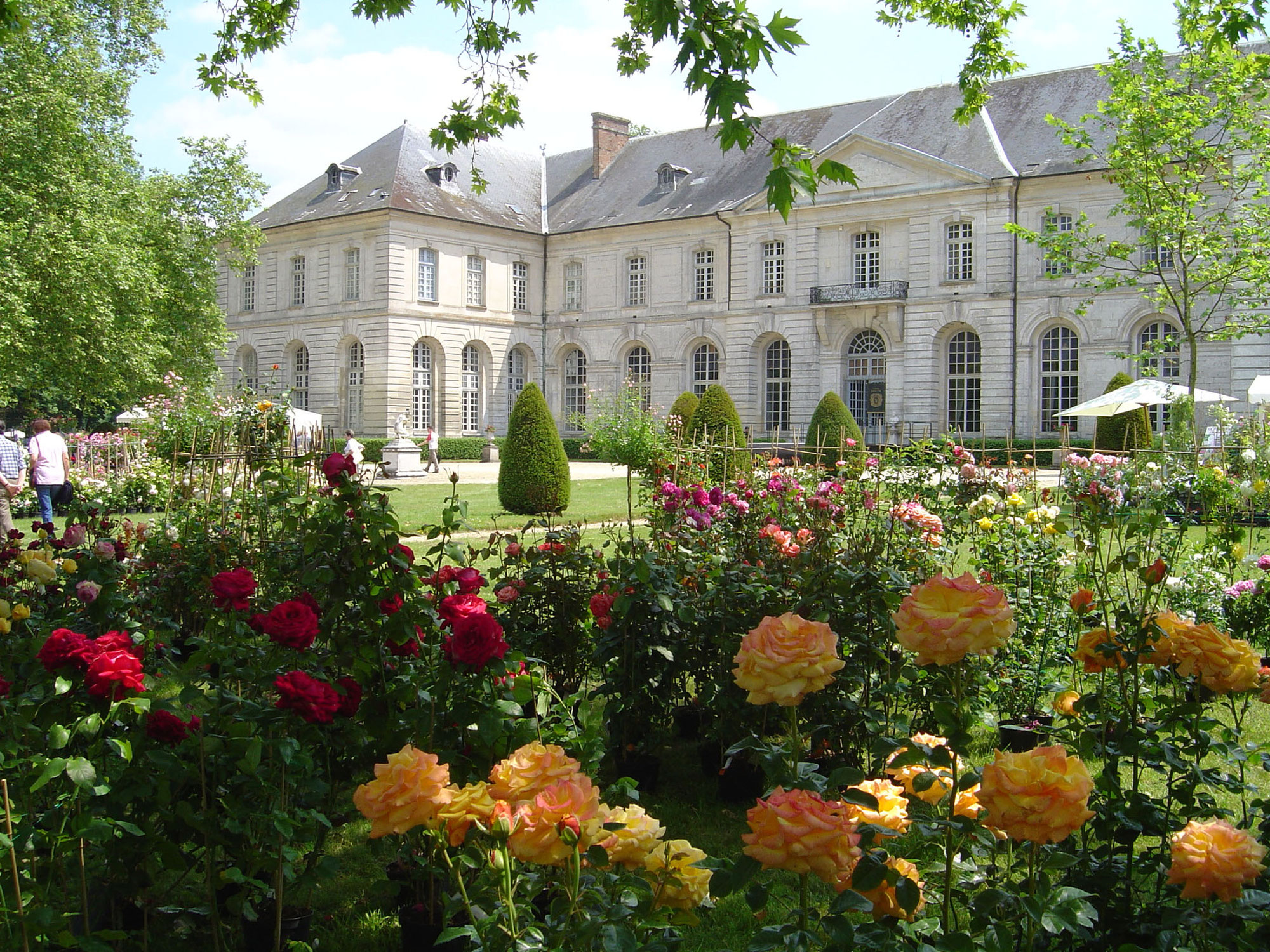 Juin 2022 - Après-midi à Chaalis