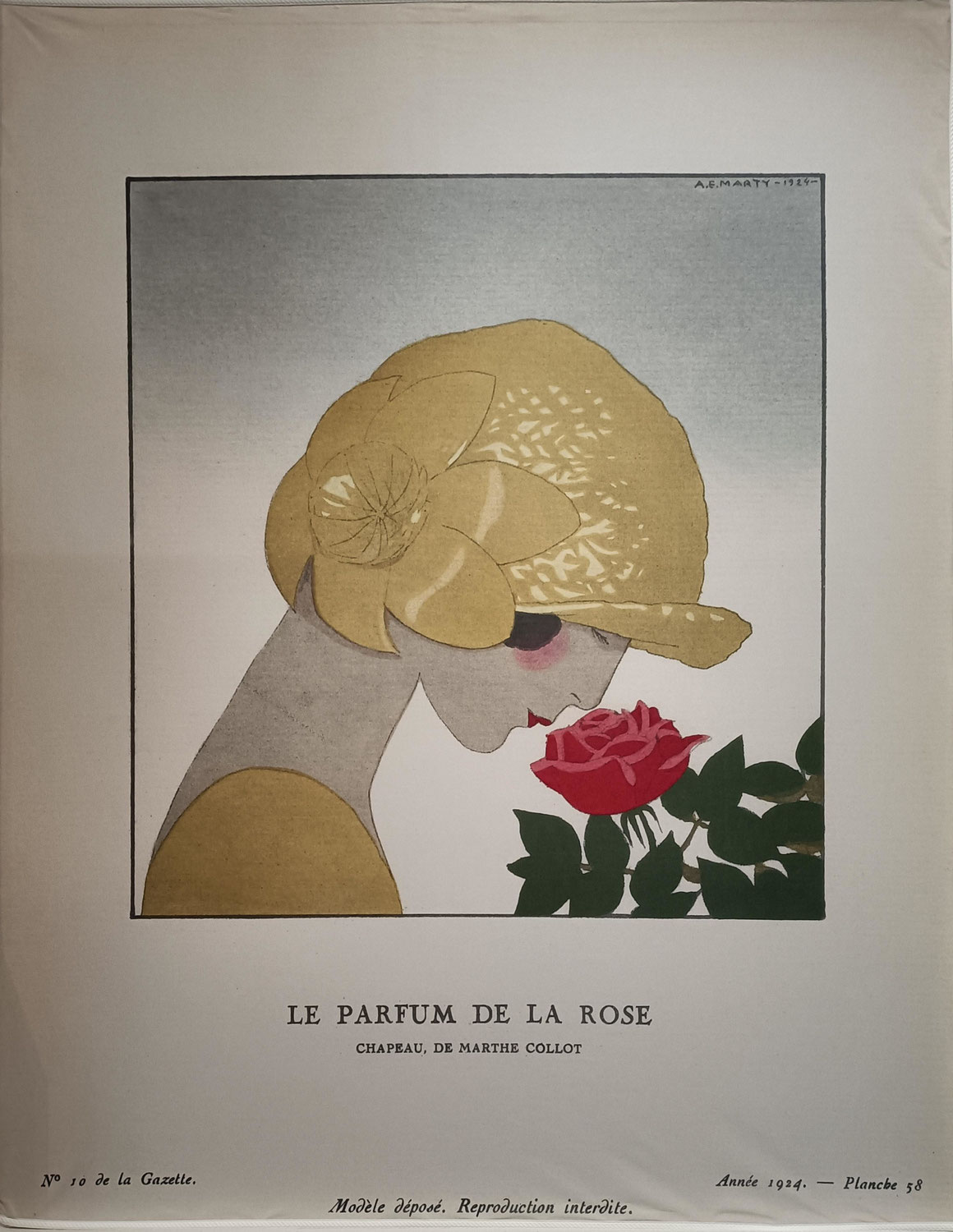 Rosemania, une histoire de la rose