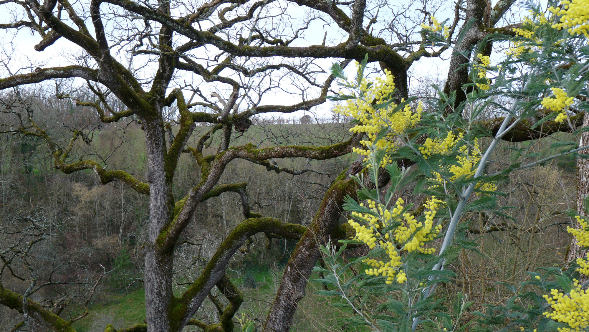 L'hiver et le printemps