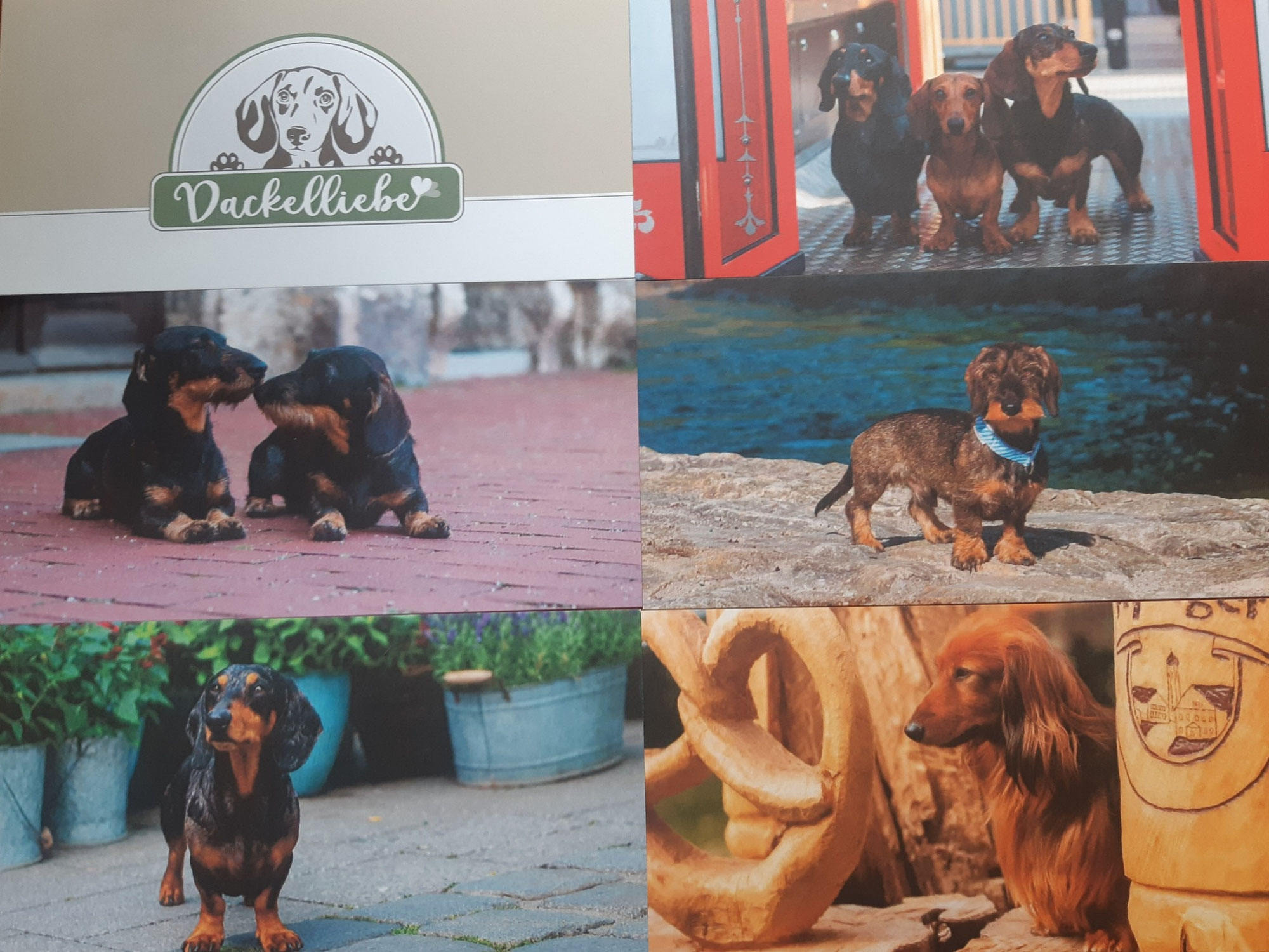 Neue Produkte