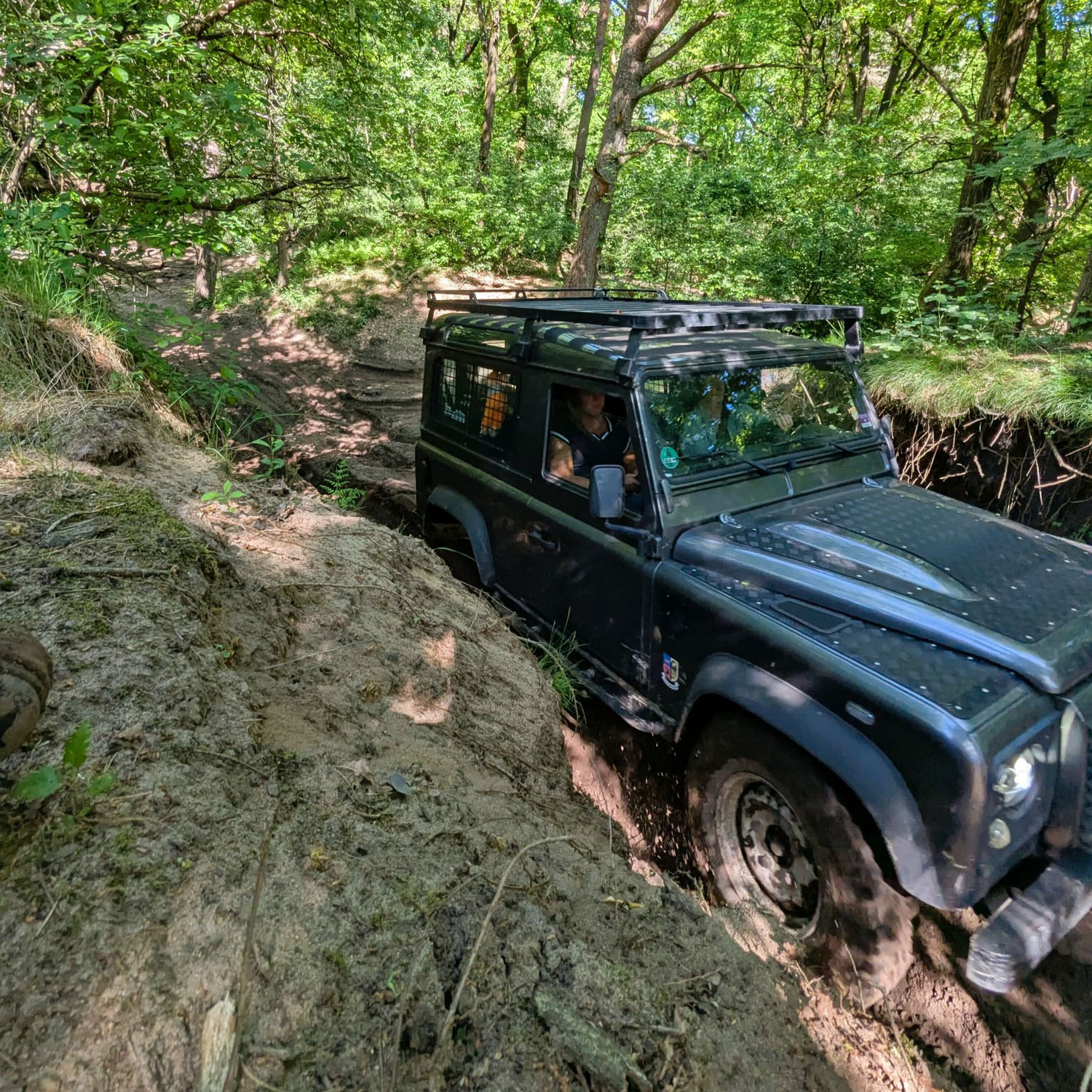  Gute Nachrichten, Offroad-Fans!